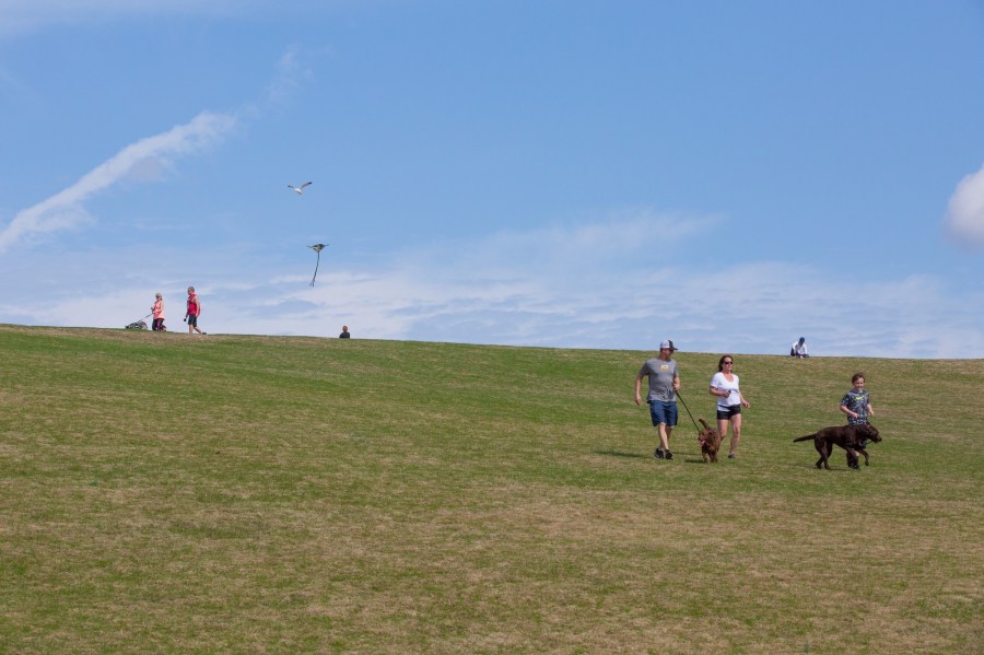 Mount Trashmore Park VB Parks and Rec_1524164263453.jpg.jpg