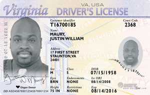 virginia dmv driver's license_239937