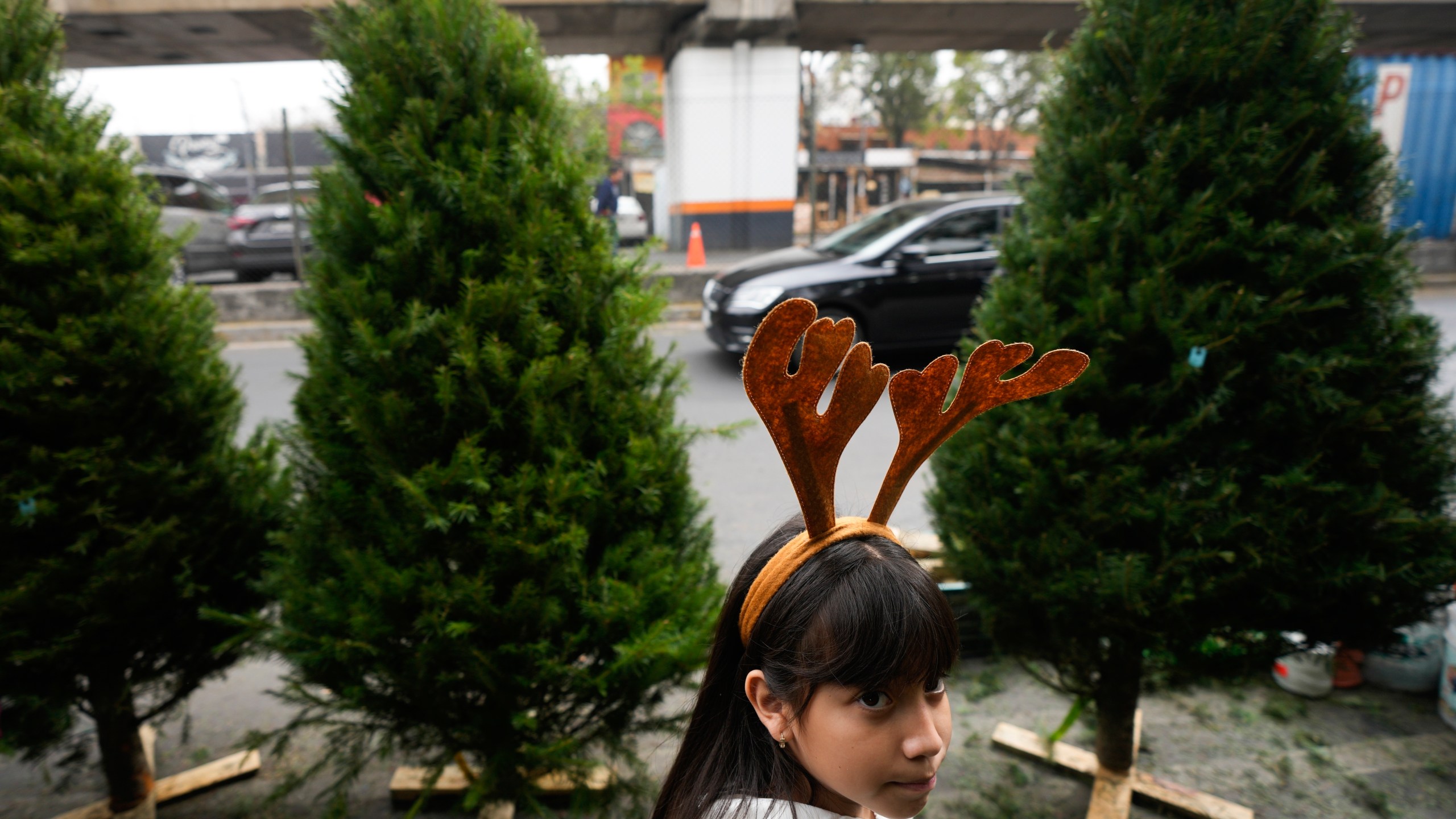 FILE - A girl wearing a reindeer antler headband shops for a Christmas tree with her family at the Jamaica market, in Mexico City, Dec. 14, 2023. (AP Photo/Fernando Llano, File)