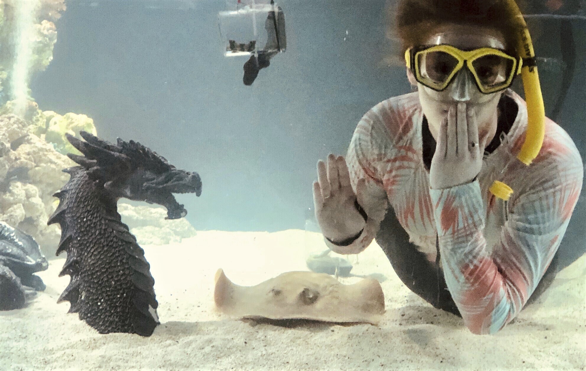 Kinsley Boyette, assistant director of the Aquarium and Shark Lab by Team ECCO, poses in this undated photo next to Charlotte, a round stingray, in Hendersonville, N.C. The aquarium said Tuesday, Feb. 13, 2024, that Charlotte is pregnant, even though she's lived at the aquarium for years without a male companion of her species. (Aquarium and Shark Lab by Team ECCO via AP)