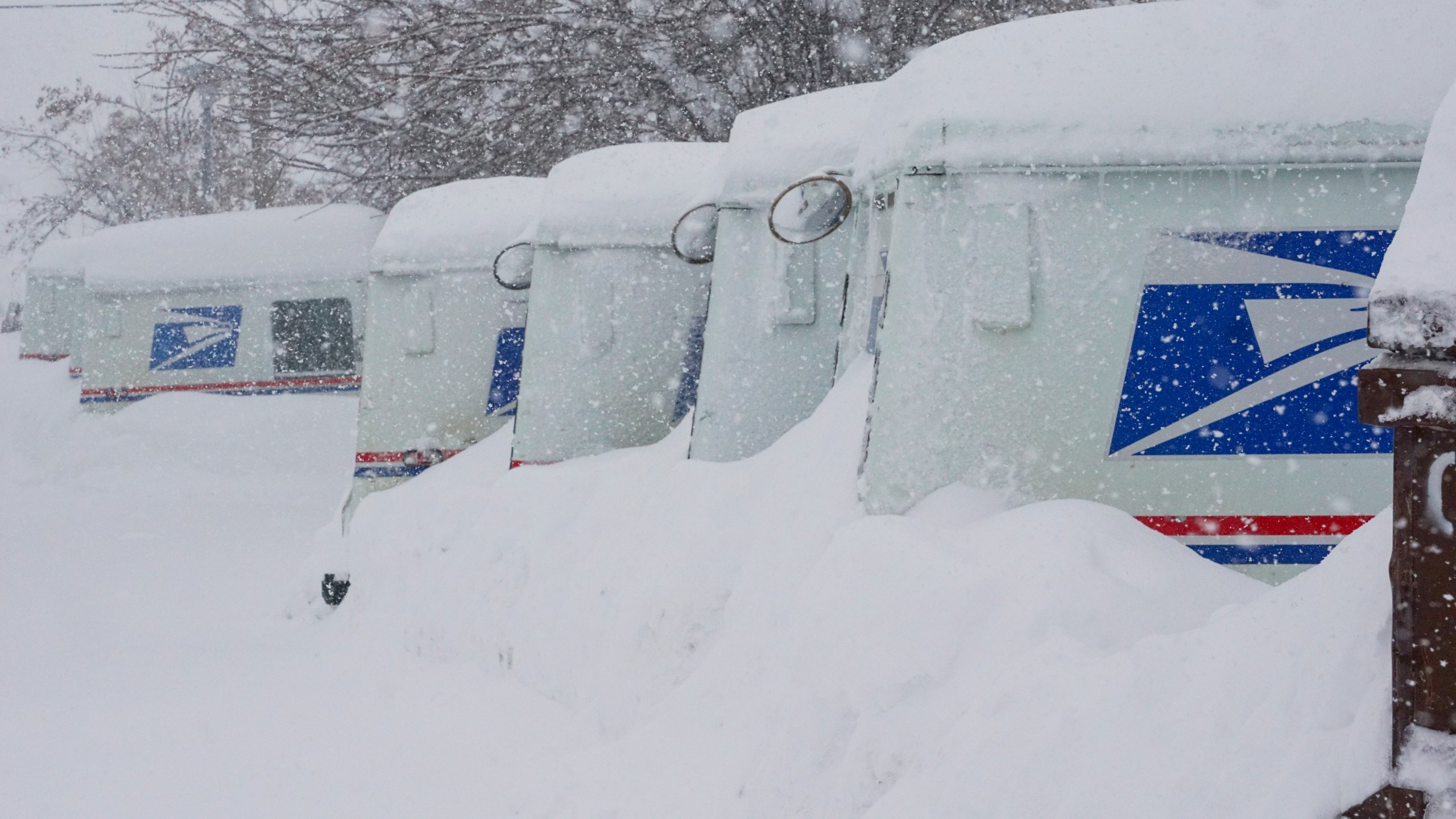 USPS trucks are covered in snow during a storm, Sunday, March 3, 2024, in Truckee, Calif. (AP Photo/Brooke Hess-Homeier)