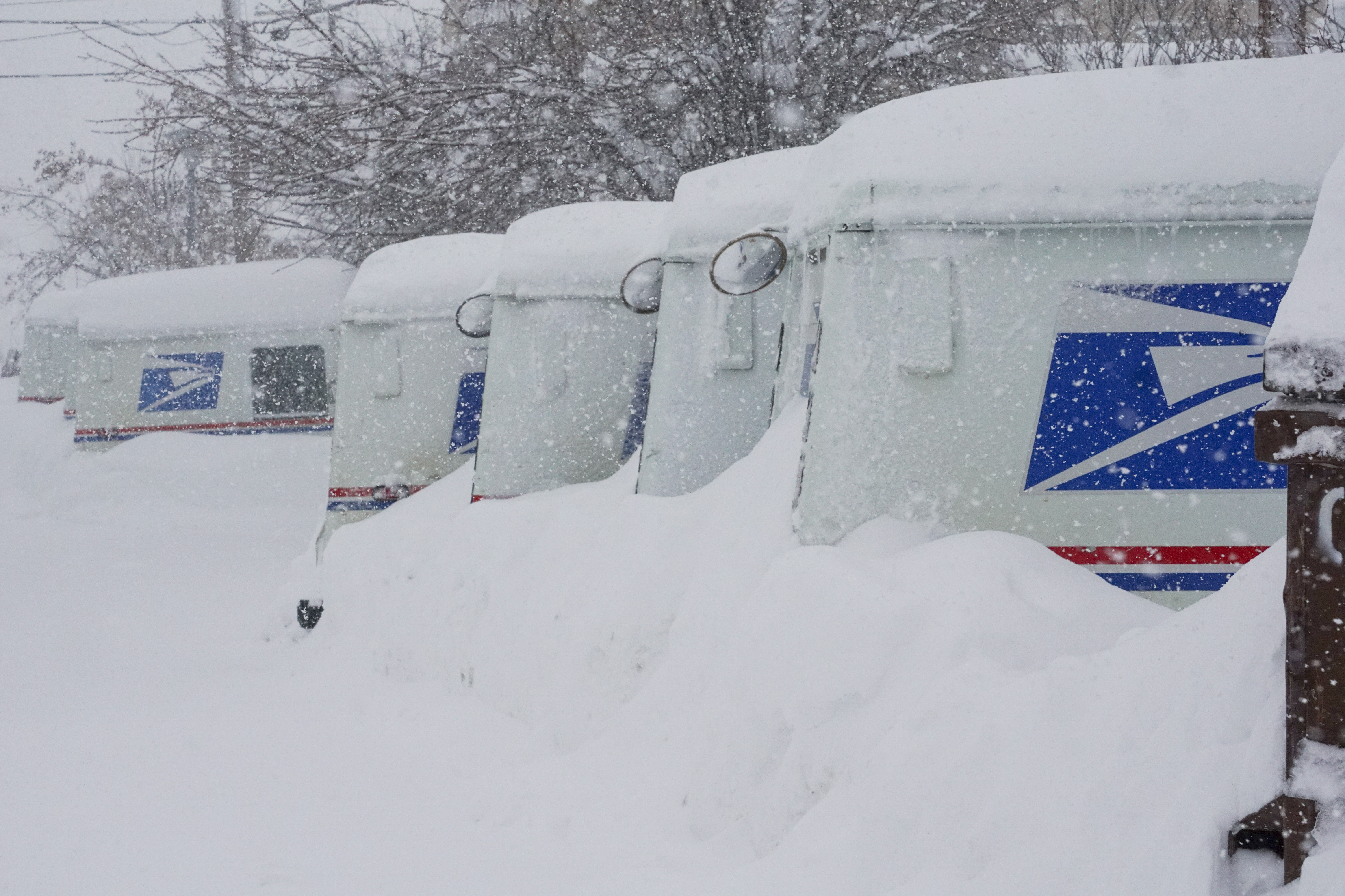 USPS trucks are covered in snow during a storm, Sunday, March 3, 2024, in Truckee, Calif. (AP Photo/Brooke Hess-Homeier)