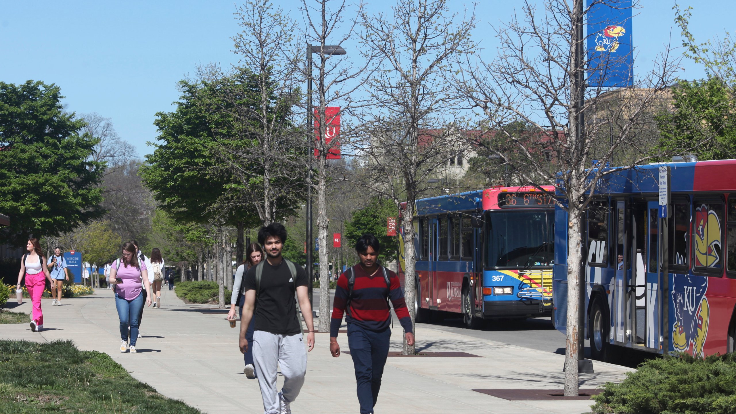 FILE - Students walk down Jayhawk Boulevard, the main street through the main University of Kansas campus, Friday, April 12, 2024, in Lawrence, Kan. Americans are increasingly skeptical about the value and cost of college, with most saying they feel the U.S. higher education system is headed in the “wrong direction,” according to a new poll. (AP Photo/John Hanna, File)