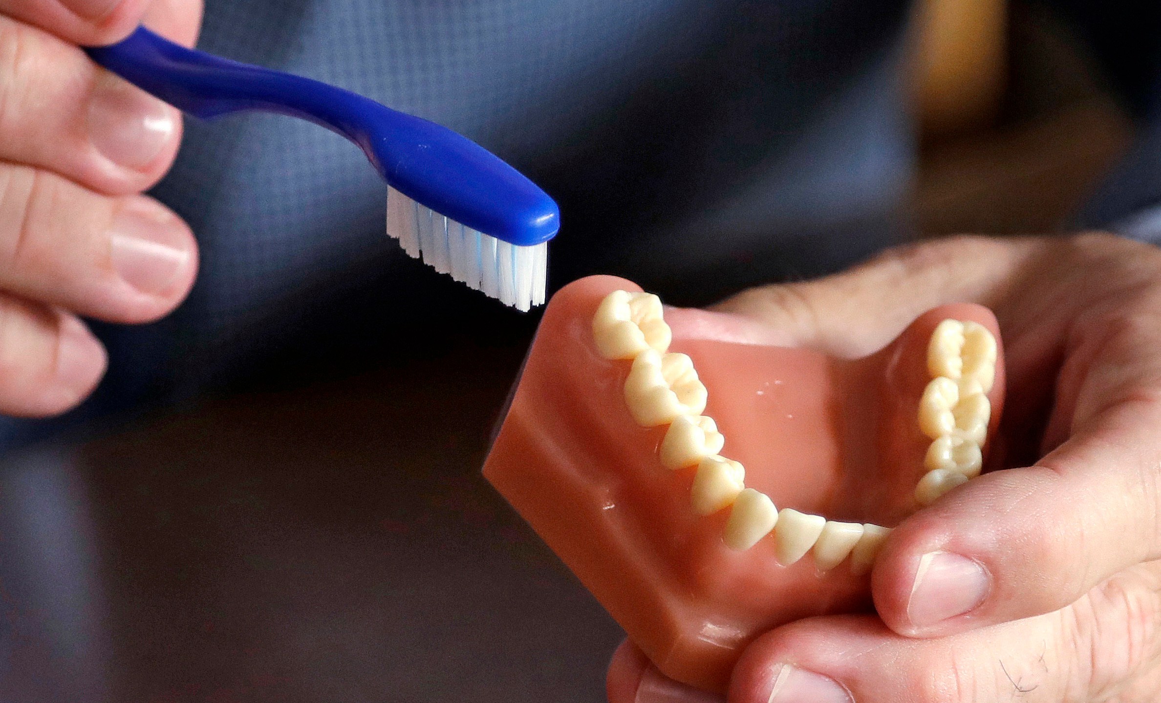 FILE - A dentist holds a model of teeth and a toothbrush in Seattle on Aug. 3, 2018. (AP Photo/Elaine Thompson, File)