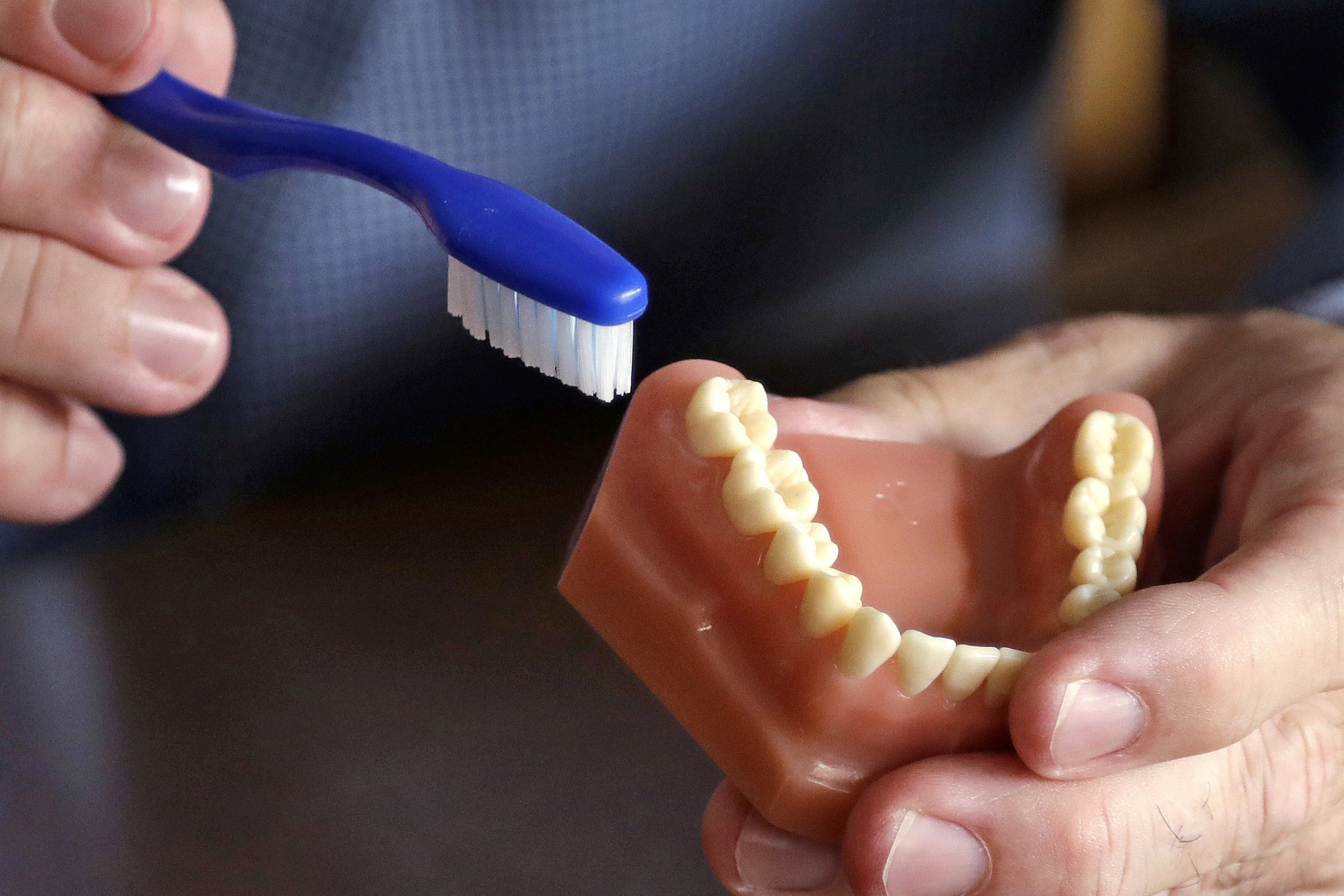 FILE - A dentist holds a model of teeth and a toothbrush in Seattle on Aug. 3, 2018. (AP Photo/Elaine Thompson, File)