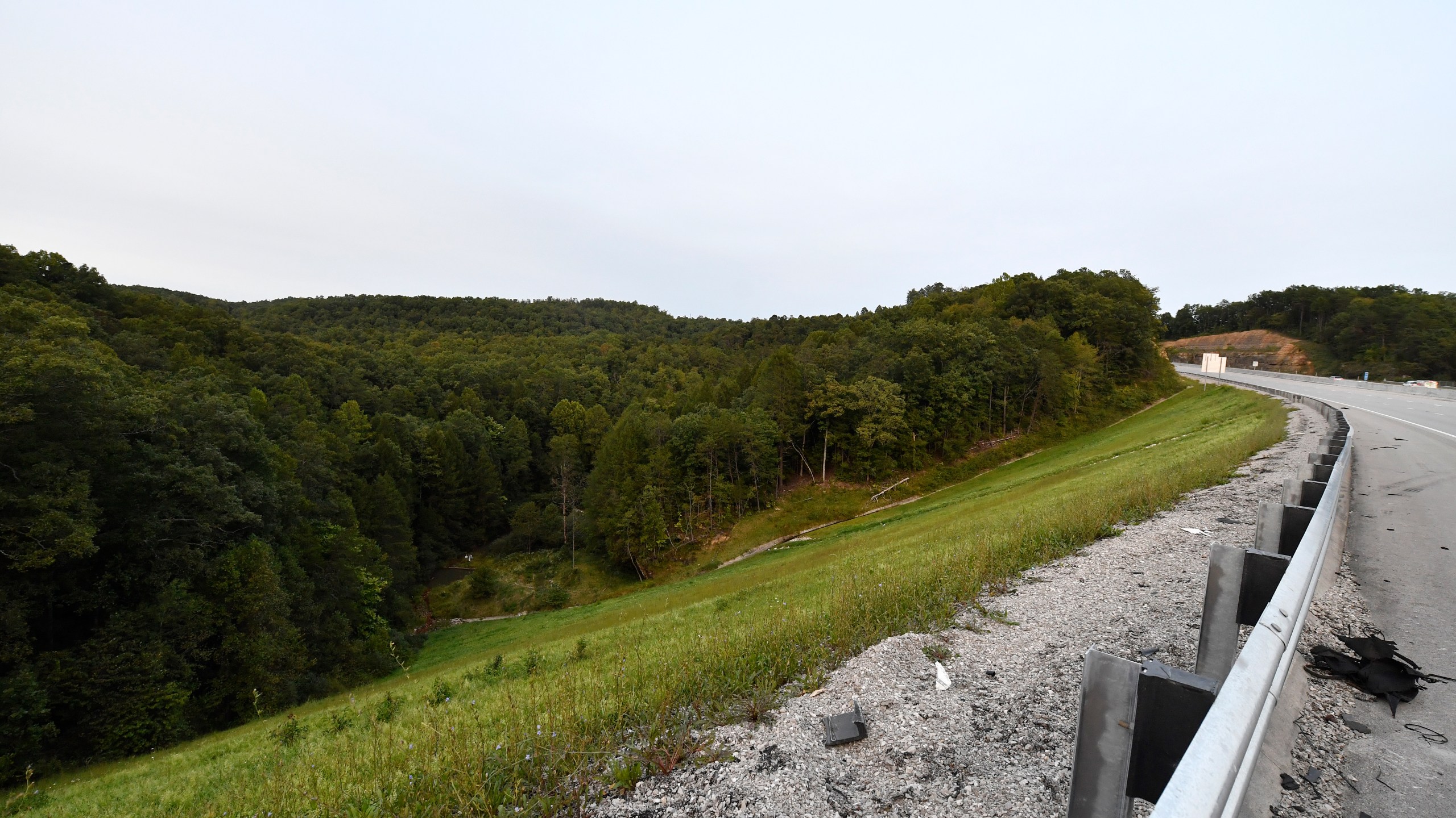 FILE - Trees stand in wooded areas alongside Interstate 75 near Livingston, Ky., Sunday, Sept. 8, 2024, as police search for a suspect in a shooting Saturday along the Interstate. (AP Photo/Timothy D. Easley, File)