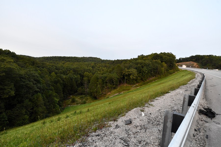 FILE - Trees stand in wooded areas alongside Interstate 75 near Livingston, Ky., Sunday, Sept. 8, 2024, as police search for a suspect in a shooting Saturday along the Interstate. (AP Photo/Timothy D. Easley, File)