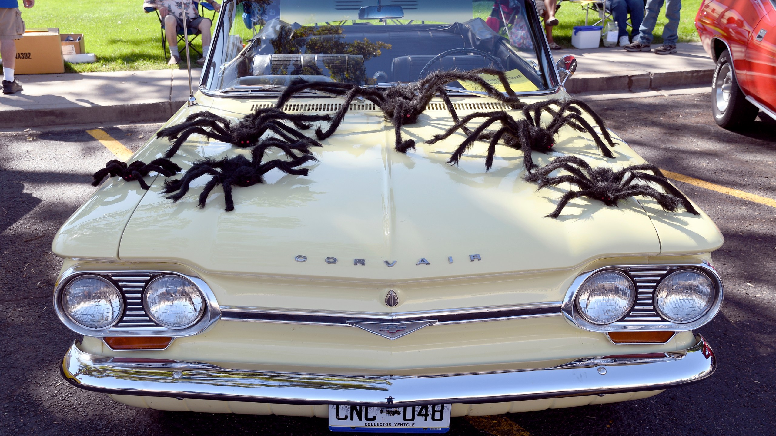 A classic car is decorated with fake spiders at the Tarantula Festival in La Junta, Colo., Saturday, Sept. 28, 2024. (AP Photo/Thomas Peipert)