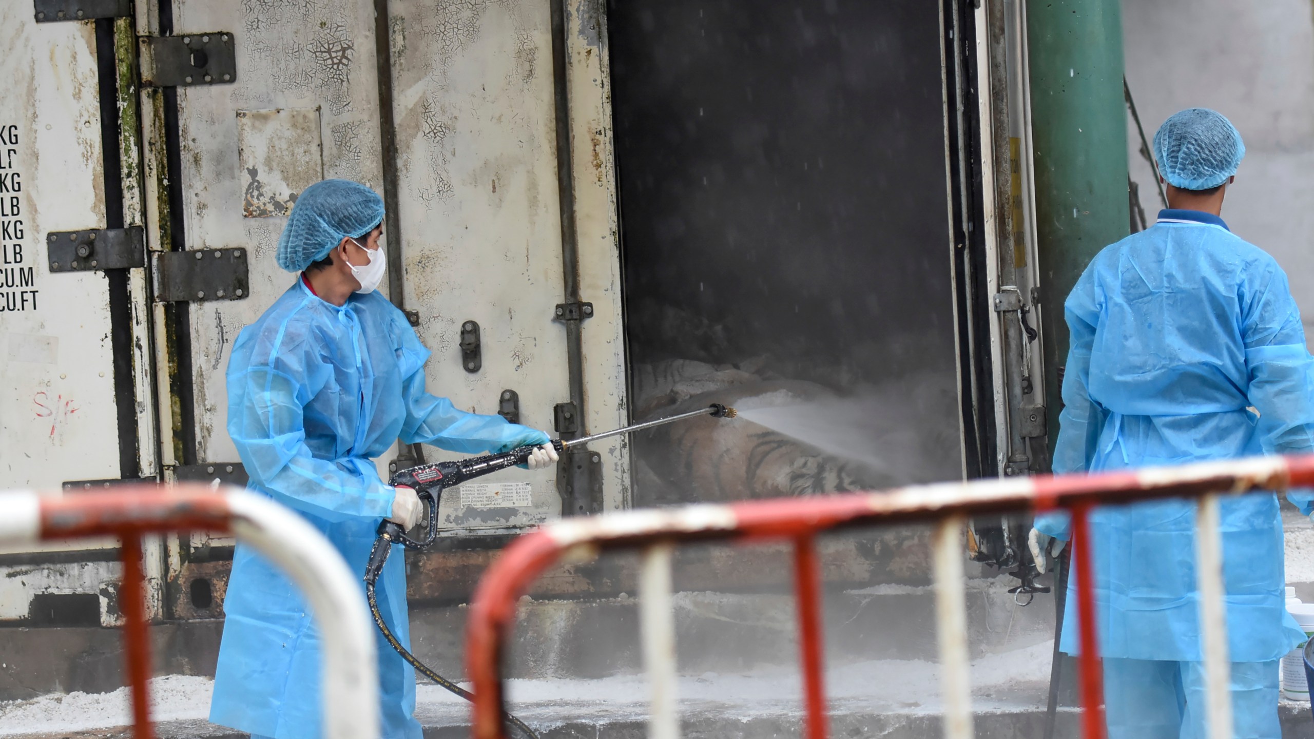 CORRECTS NAME OF ZOO- Animal health workers spray disinfectant after tigers died of bird flu at Vuon Xoai zoo in Bien Hoa city, Vietnam on Thursday, Oct. 3, 2024. (Phuoc Tuan/VNExpress via AP)