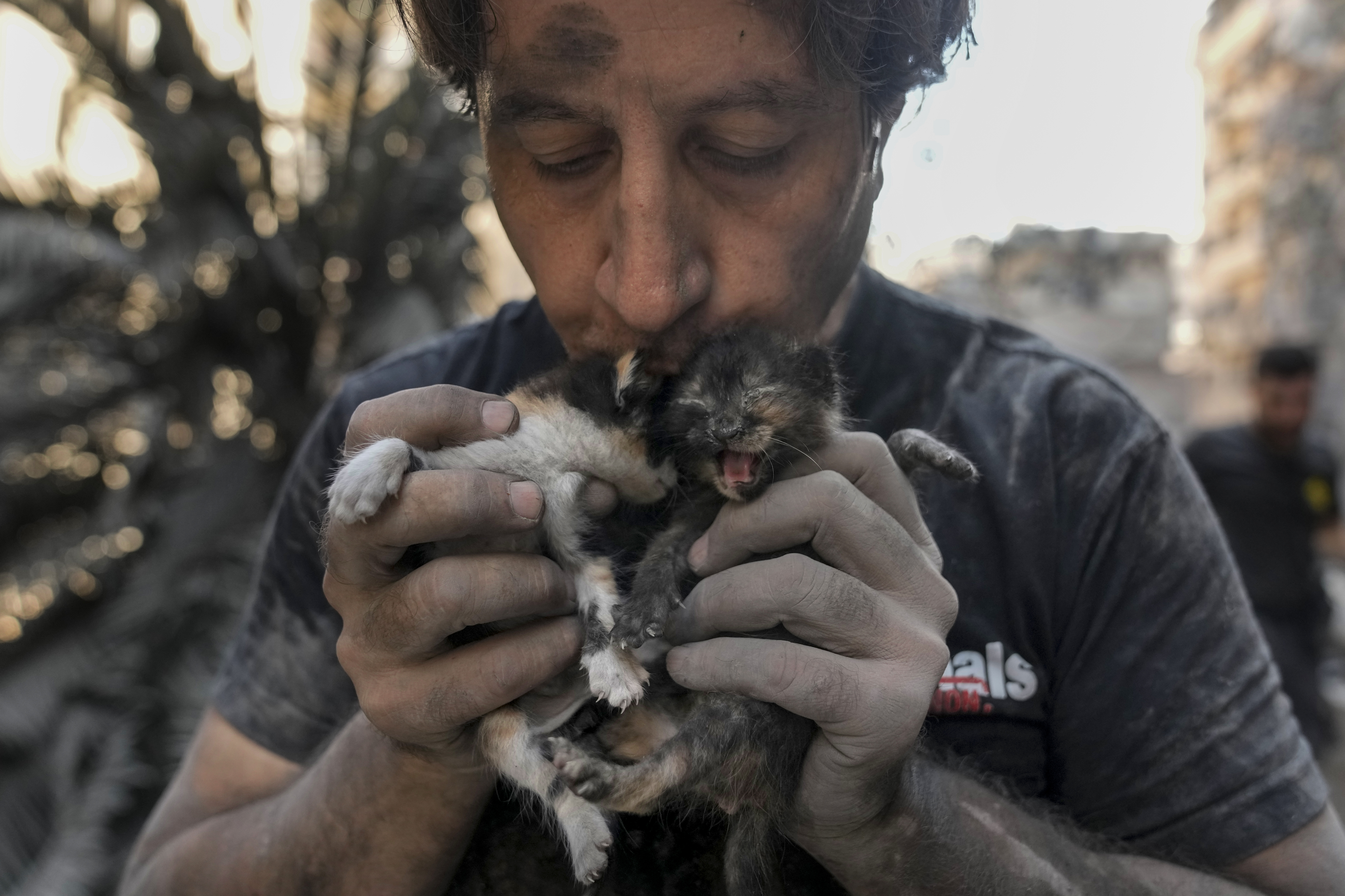 Kamal Khatib, a volunteer with the Animals Lebanon rescue group, kisses kittens after rescuing them from debris of destroyed buildings at the site of Thursday's Israeli airstrike, in Beirut, Lebanon, Friday, Oct. 11, 2024. (AP Photo/Bilal Hussein)