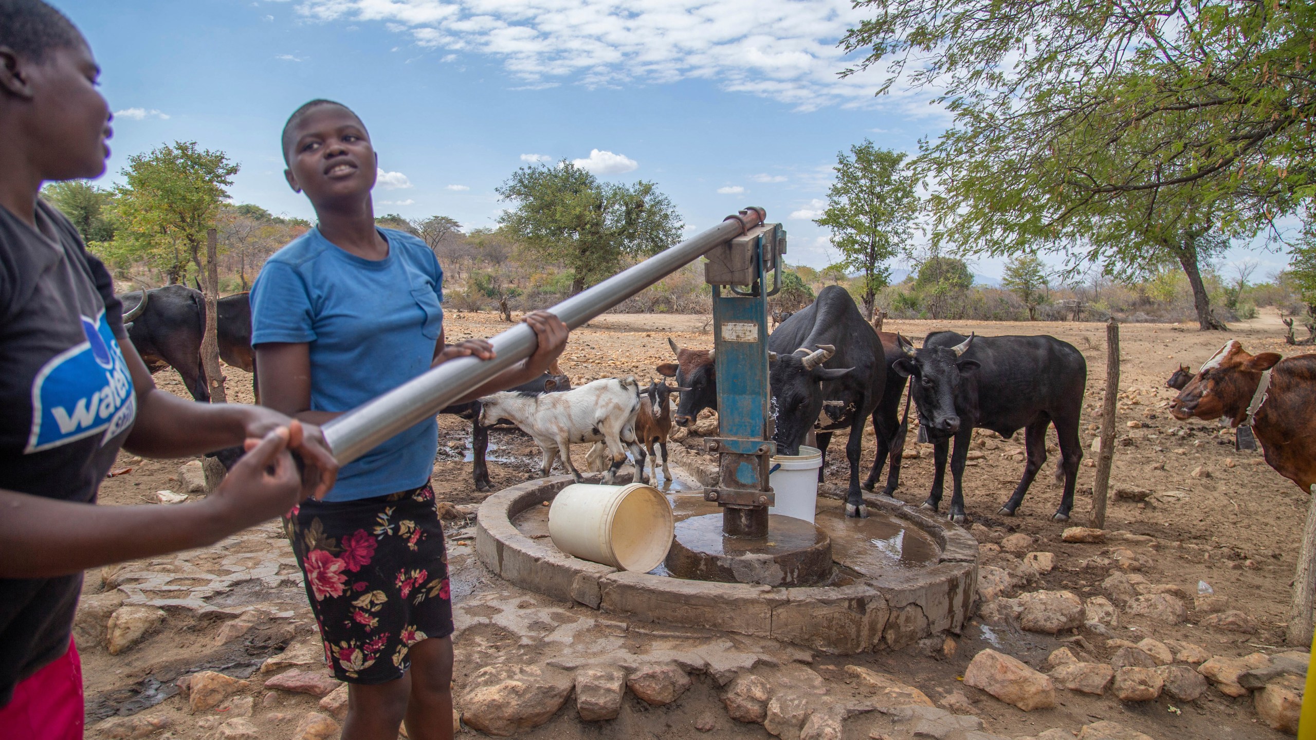 File — Villagers pump water at a borehole in Mudzi, Zimbabwe, Tuesday, July 2, 2024.as the United Nations' food agency says months of drought in southern Africa, triggered by the El Nino weather phenomenon, has had a devastating impact on more than 27 million people and caused the region's worst hunger crisis in decades. (AP Photo/Aaron Ufumeli/File)