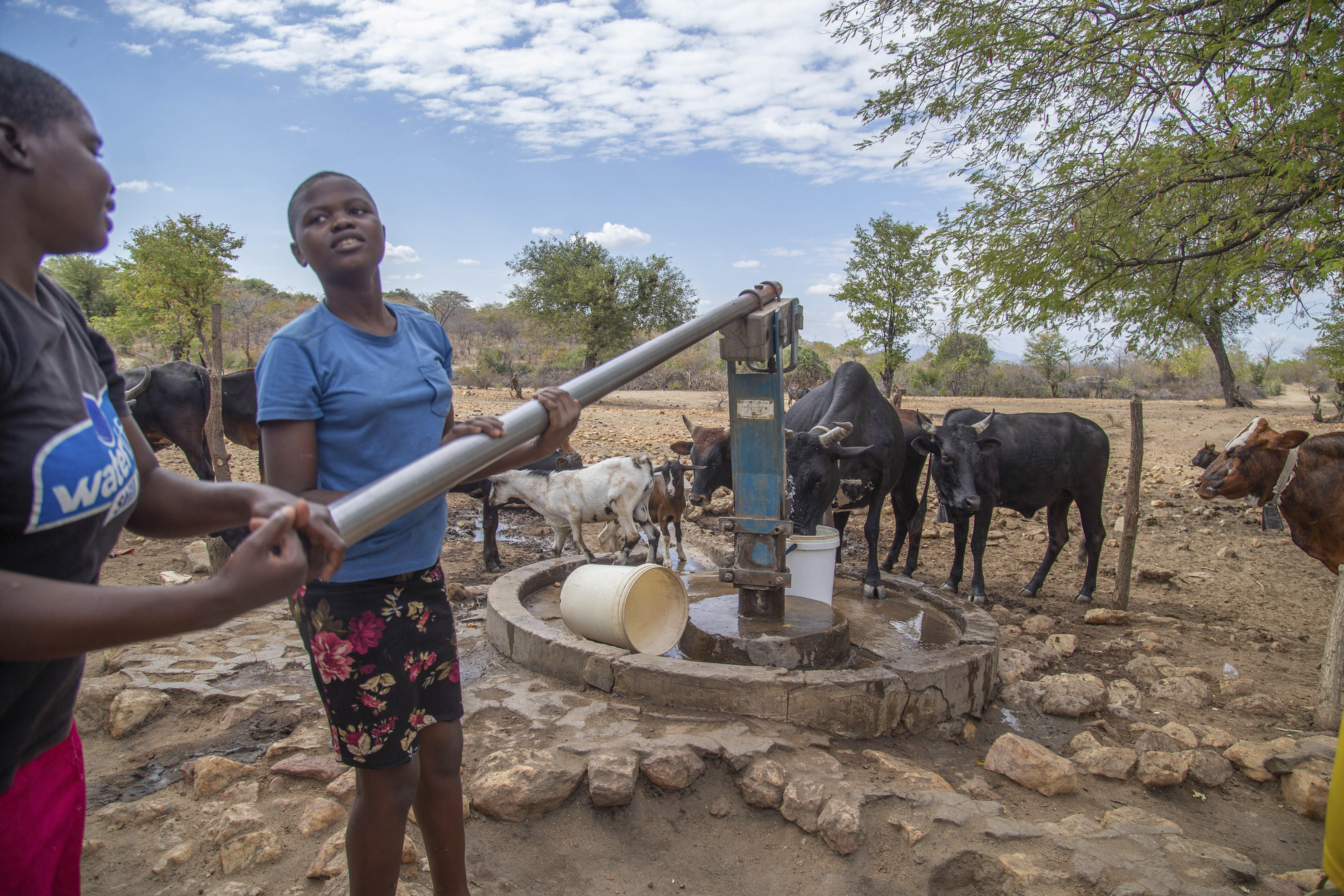 File — Villagers pump water at a borehole in Mudzi, Zimbabwe, Tuesday, July 2, 2024.as the United Nations' food agency says months of drought in southern Africa, triggered by the El Nino weather phenomenon, has had a devastating impact on more than 27 million people and caused the region's worst hunger crisis in decades. (AP Photo/Aaron Ufumeli/File)