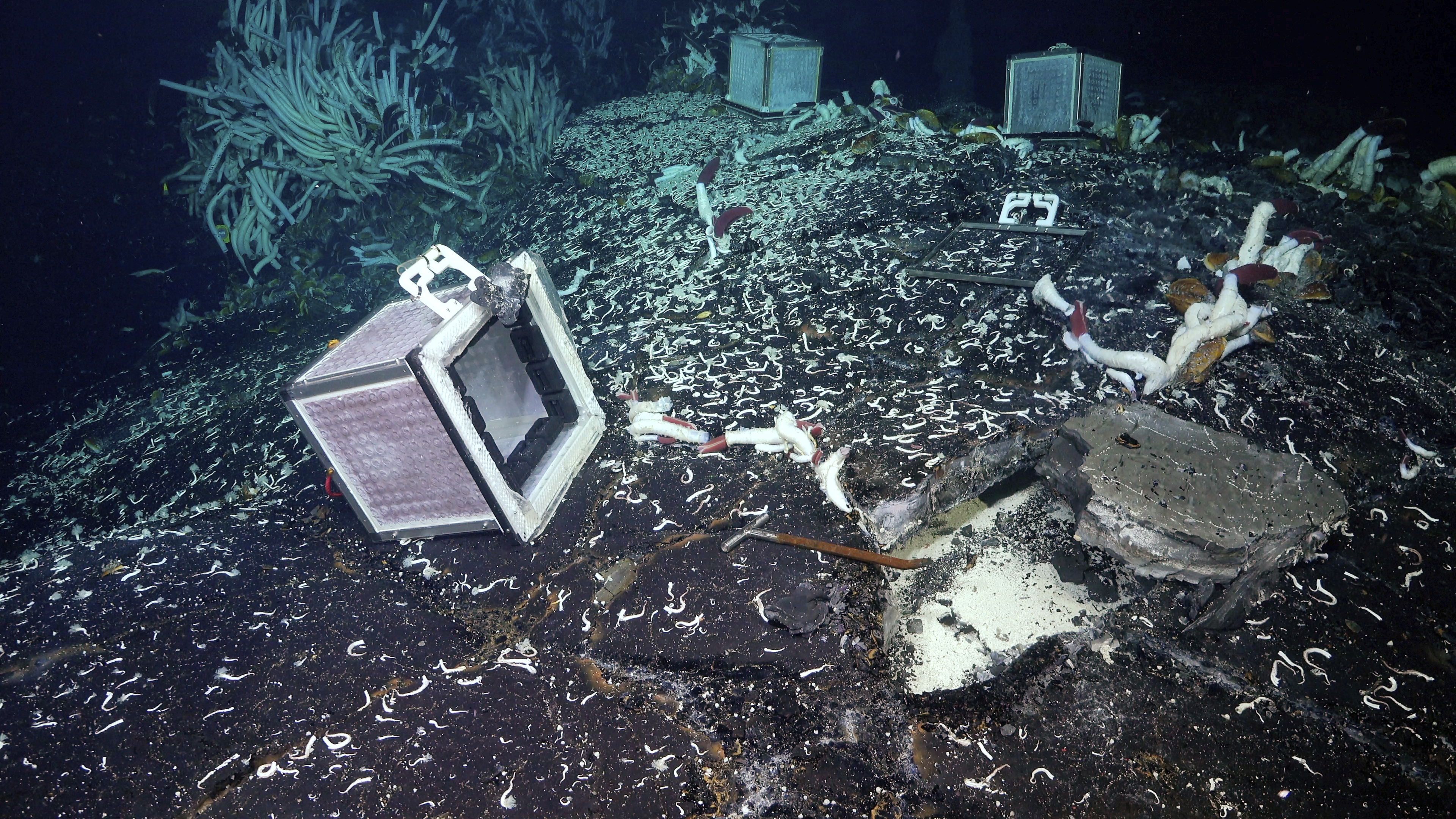 In this photo provided by Schmidt Ocean Institute, experiments code-named "Mesh Box Staining Gadgets" are sealed to the seafloor at the Tica Vent, a site on the East Pacific Rise 2,500 meters deep. (Schmidt Ocean Institute via AP)