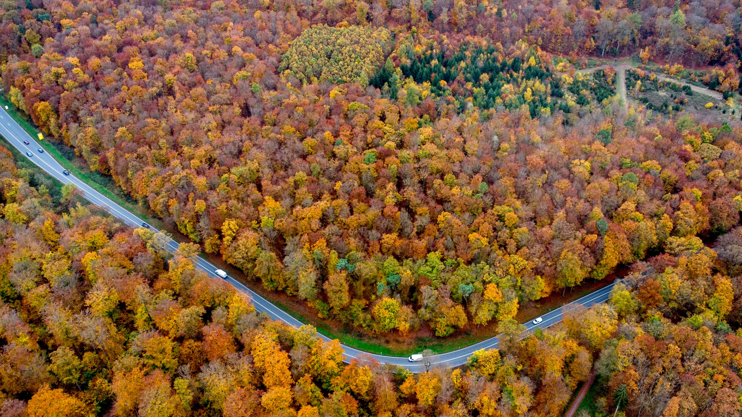 Traffic rolls through a colorful forest in the Taunus region in Usingen near Frankfurt, Germany, Friday, Nov. 1, 2024. (AP Photo/Michael Probst)