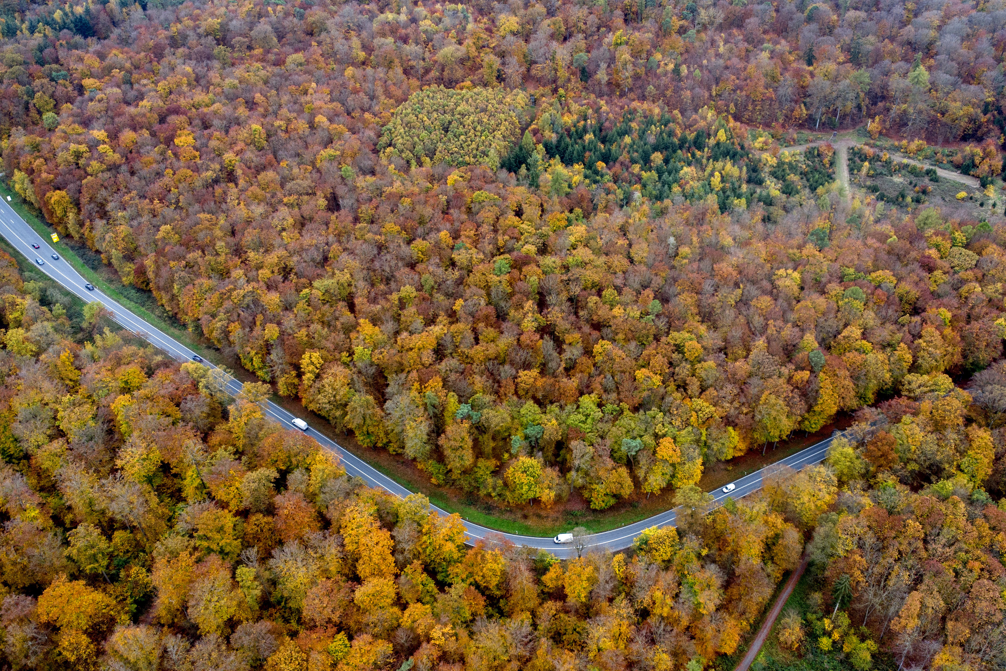 Traffic rolls through a colorful forest in the Taunus region in Usingen near Frankfurt, Germany, Friday, Nov. 1, 2024. (AP Photo/Michael Probst)