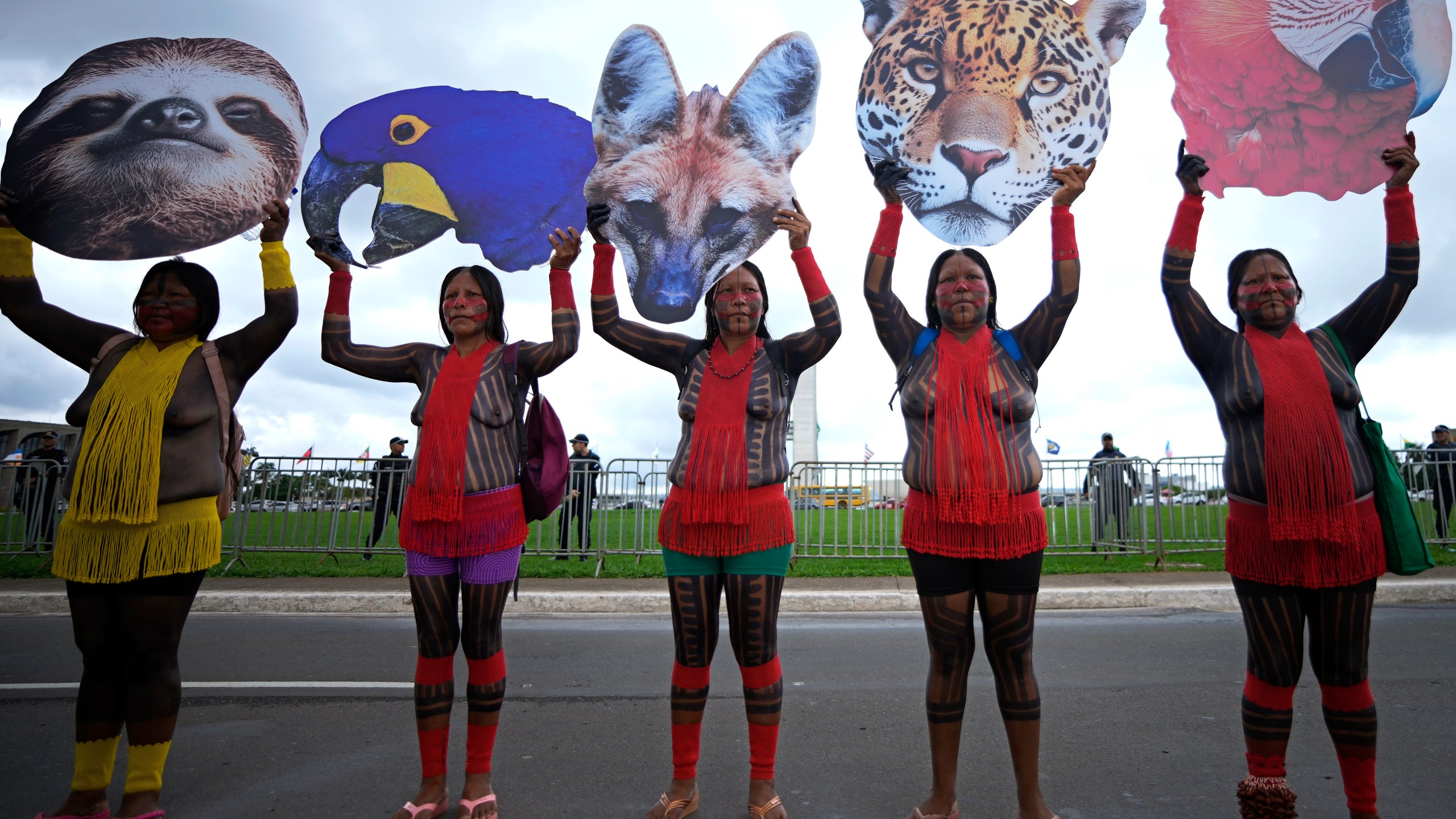 Indigenous women hold up cutouts of animals representing biodiversity, during a protest against a proposed constitutional amendment that threatens some of their land rights, in Brasilia, Brazil, Wednesday, Oct. 30, 2024. (AP Photo/Eraldo Peres)