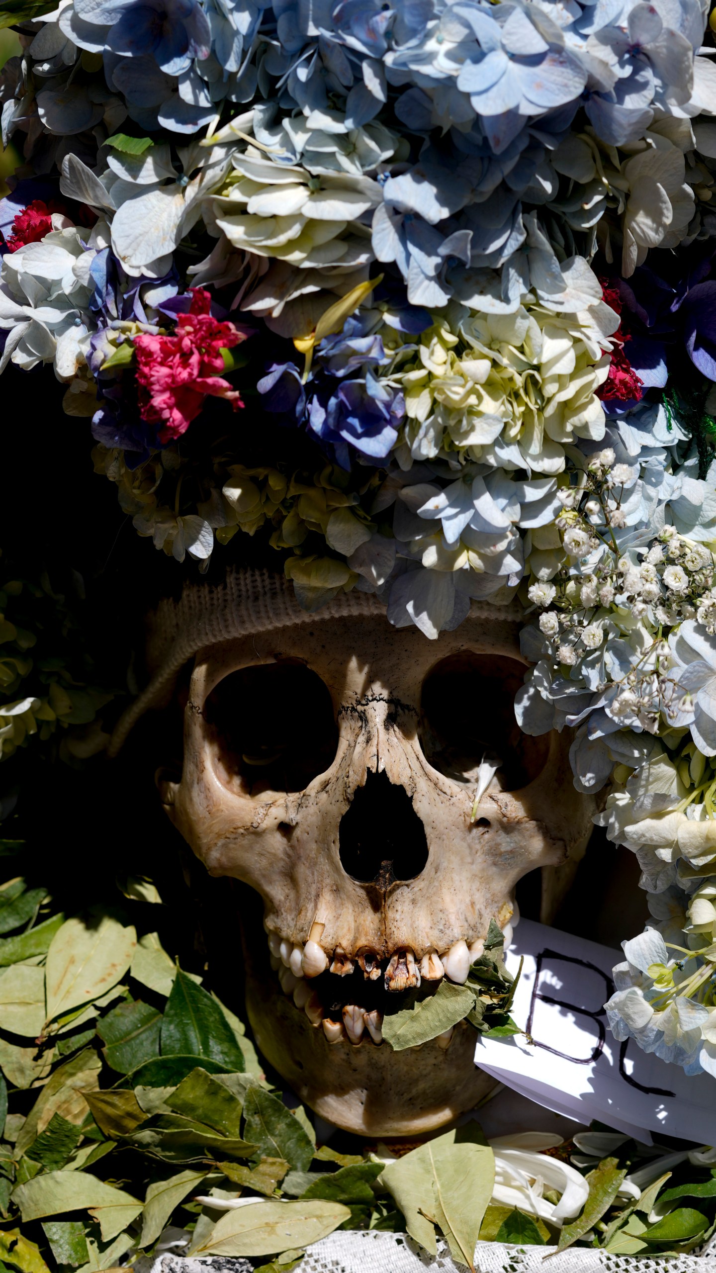 A decorated human skull sits at the General Cemetery as part of the annual “Ñatitas” festival, a tradition marking the end of the Catholic holiday of All Saints, in La Paz, Bolivia, Friday, Nov. 8, 2024. (AP Photo/Juan Karita)