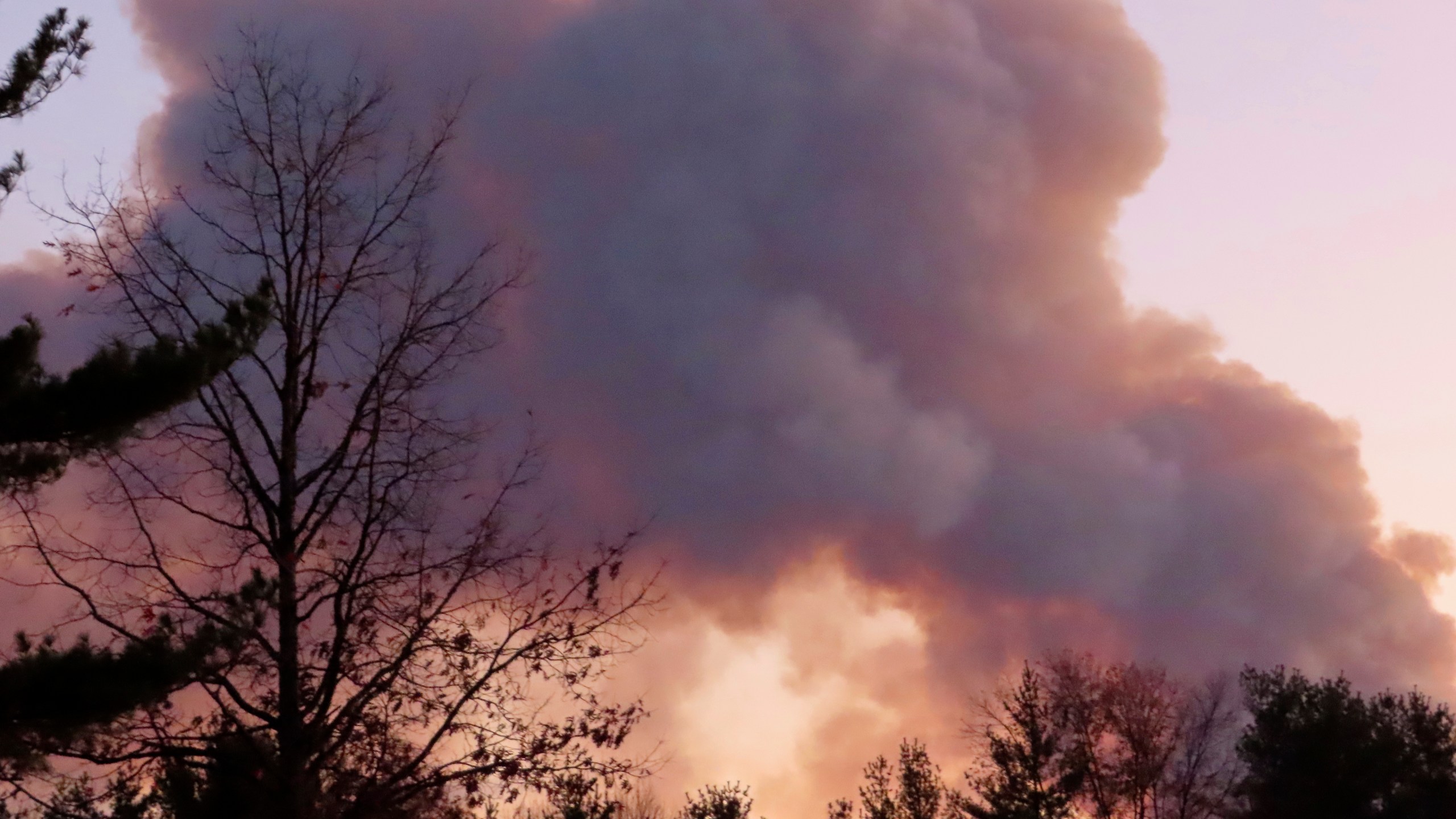 Smoke from a forest fire rises above the trees in Evesham, N.J. on Thursday, Nov. 7, 2024. (AP Photo/Wayne Parry)