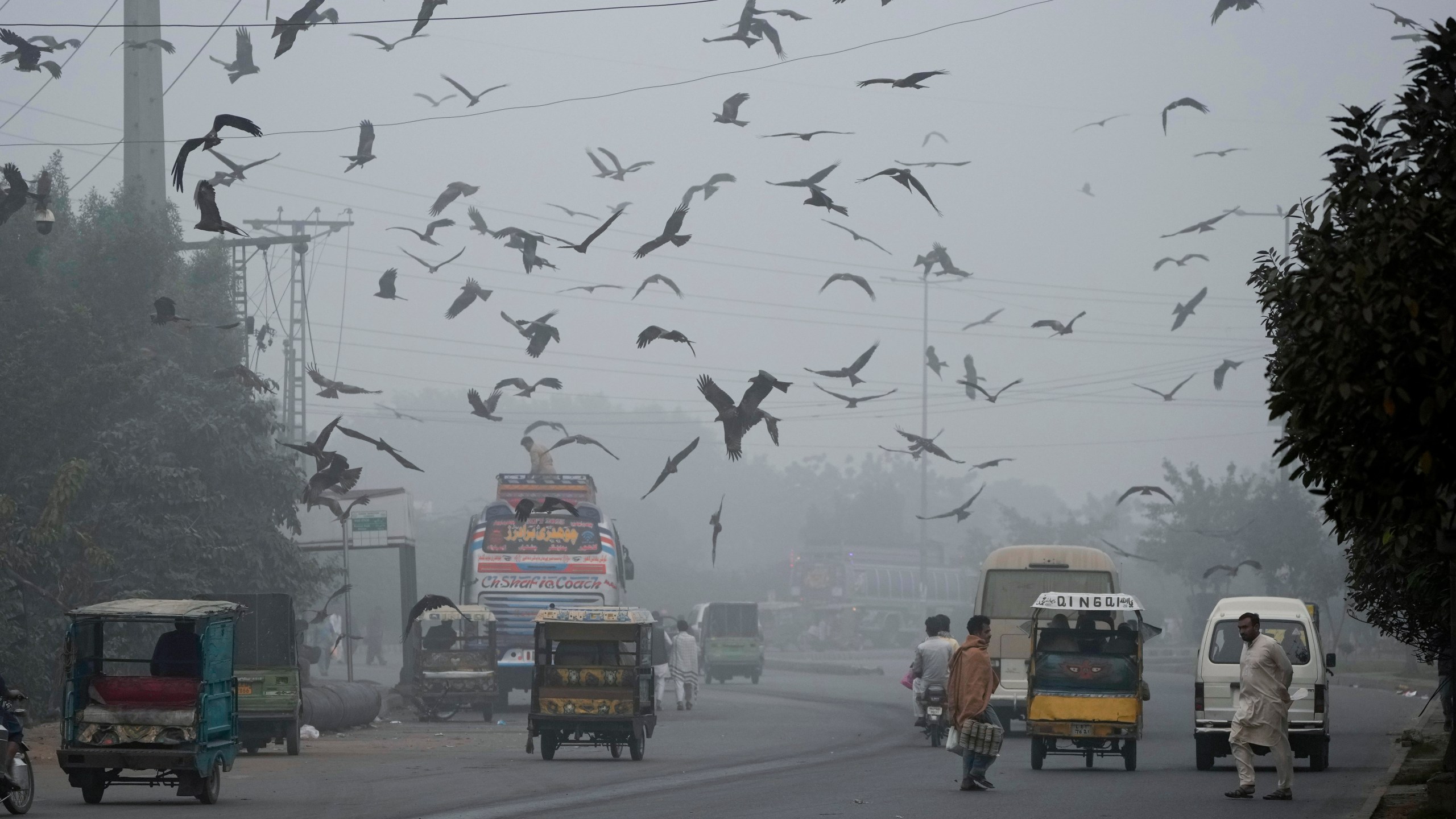 People cross a road as smog envelopes the areas of Lahore, Pakistan, Wednesday, Nov. 13, 2024. (AP Photo/K.M. Chaudary)