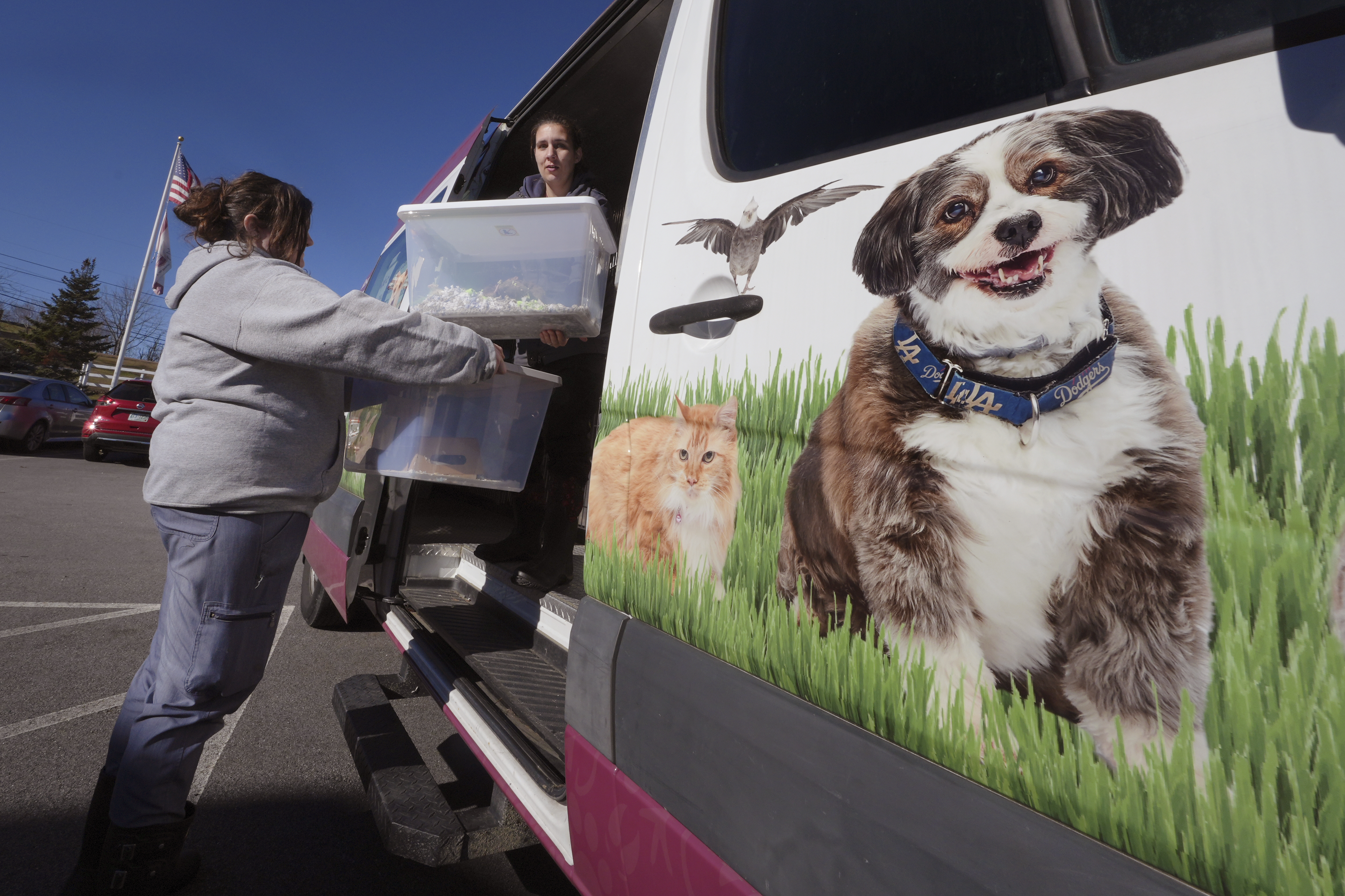 Erica Newton, left, and Emily Sullivan unload hundreds of fancy mice at the New Hampshire SPCA which were surrendered earlier in the day, Friday, Nov. 15, 2024, in Stratham, N.H. (AP Photo/Charles Krupa)