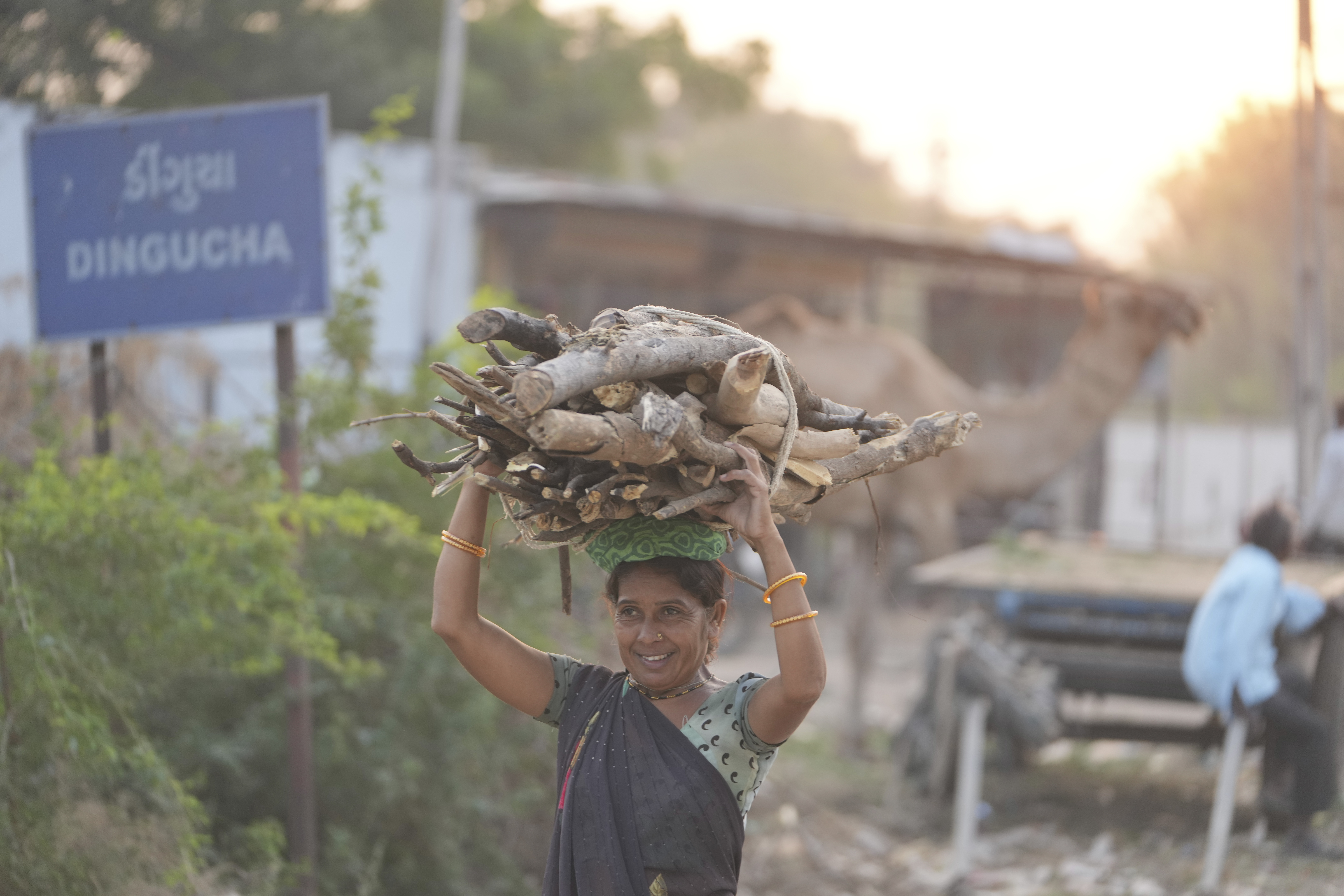 A woman carries firewood on her head at Dingucha village in Gandhinagar district of Gujarat state, India, Tuesday, Nov. 12, 2024. (AP Photo/Ajit Solanki)