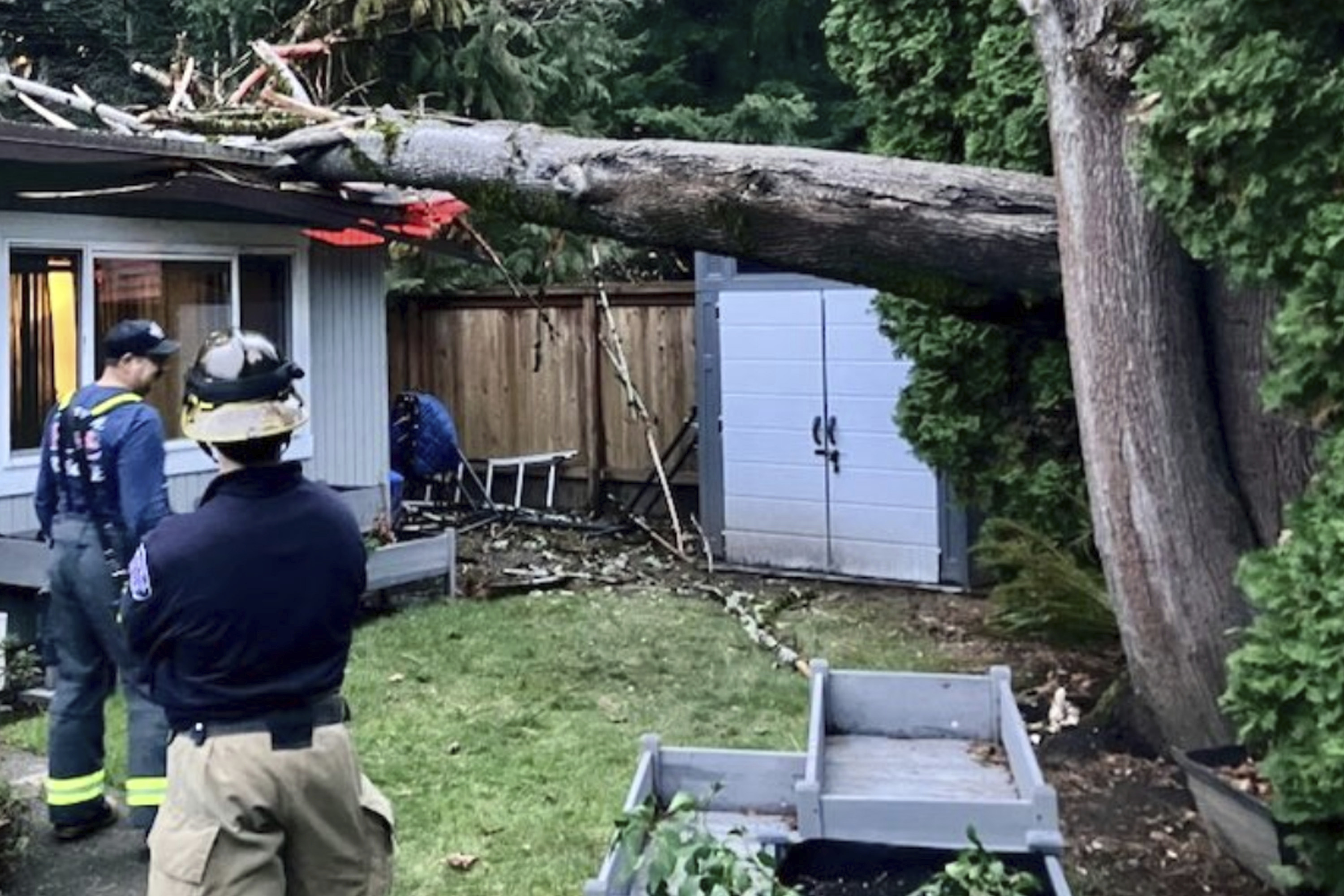 In this image provided by Eastside Fire & Rescue, officials survey the scene where a tree fell on a home in Issaquah, Wash., Tuesday, Nov. 19, 2024. (Eastside Fire & Rescue via AP)