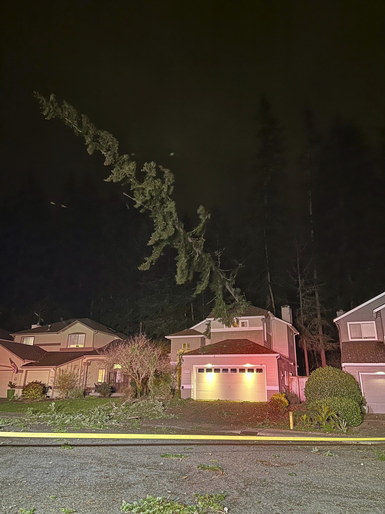 This photo released by Eastside Fire & Rescue shows a tree resting on the roof of a house during a major storm Tuesday, Nov. 19, 2024, in Issaquah, Wash. (Eastside Fire & Rescue via AP)