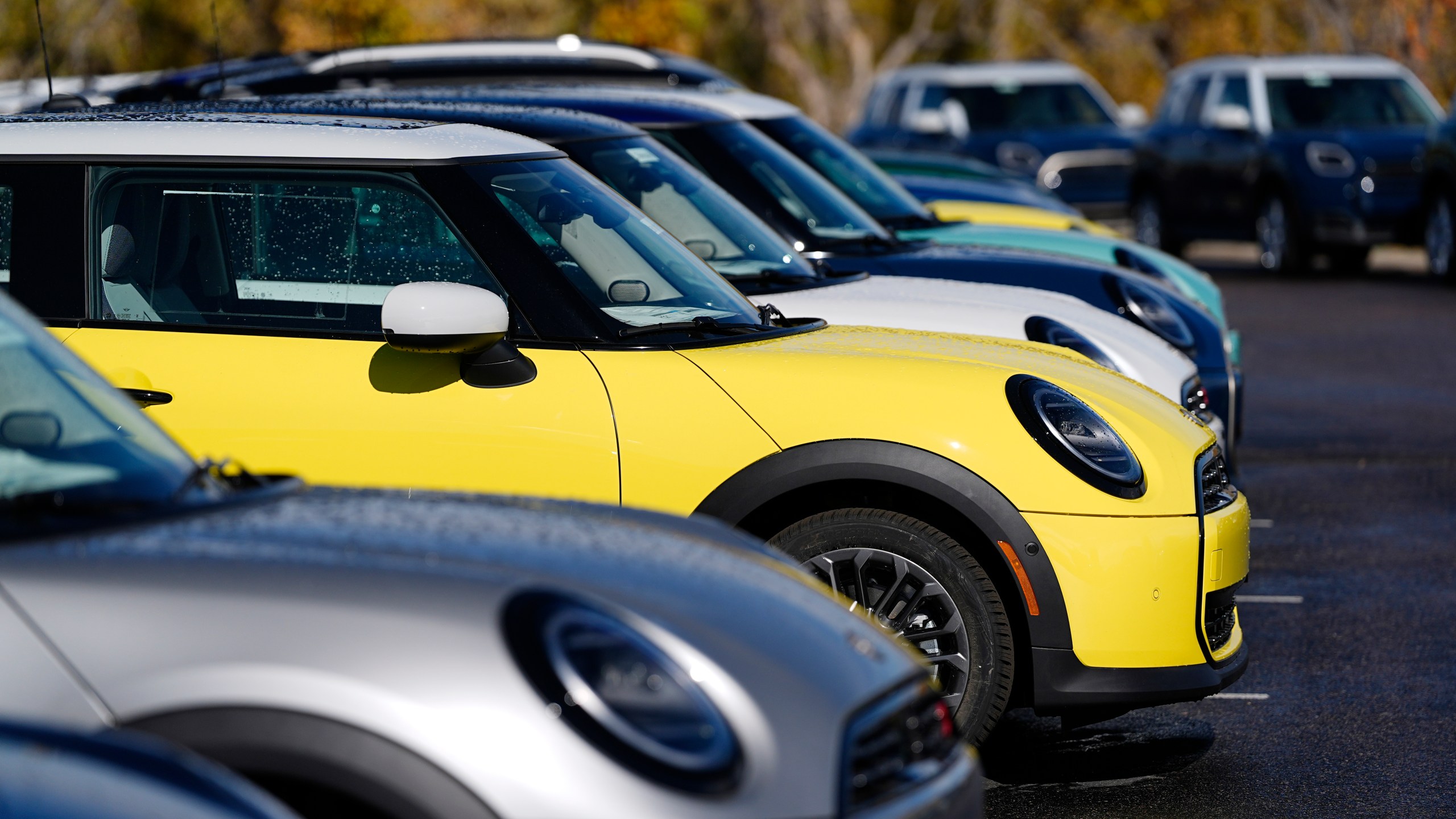 FILE - Unsold 2025 Cooper S hardtops are displayed at a Mini dealership on Oct. 21, 2024, in Highlands Ranch, Colo. (AP Photo/David Zalubowski, File)