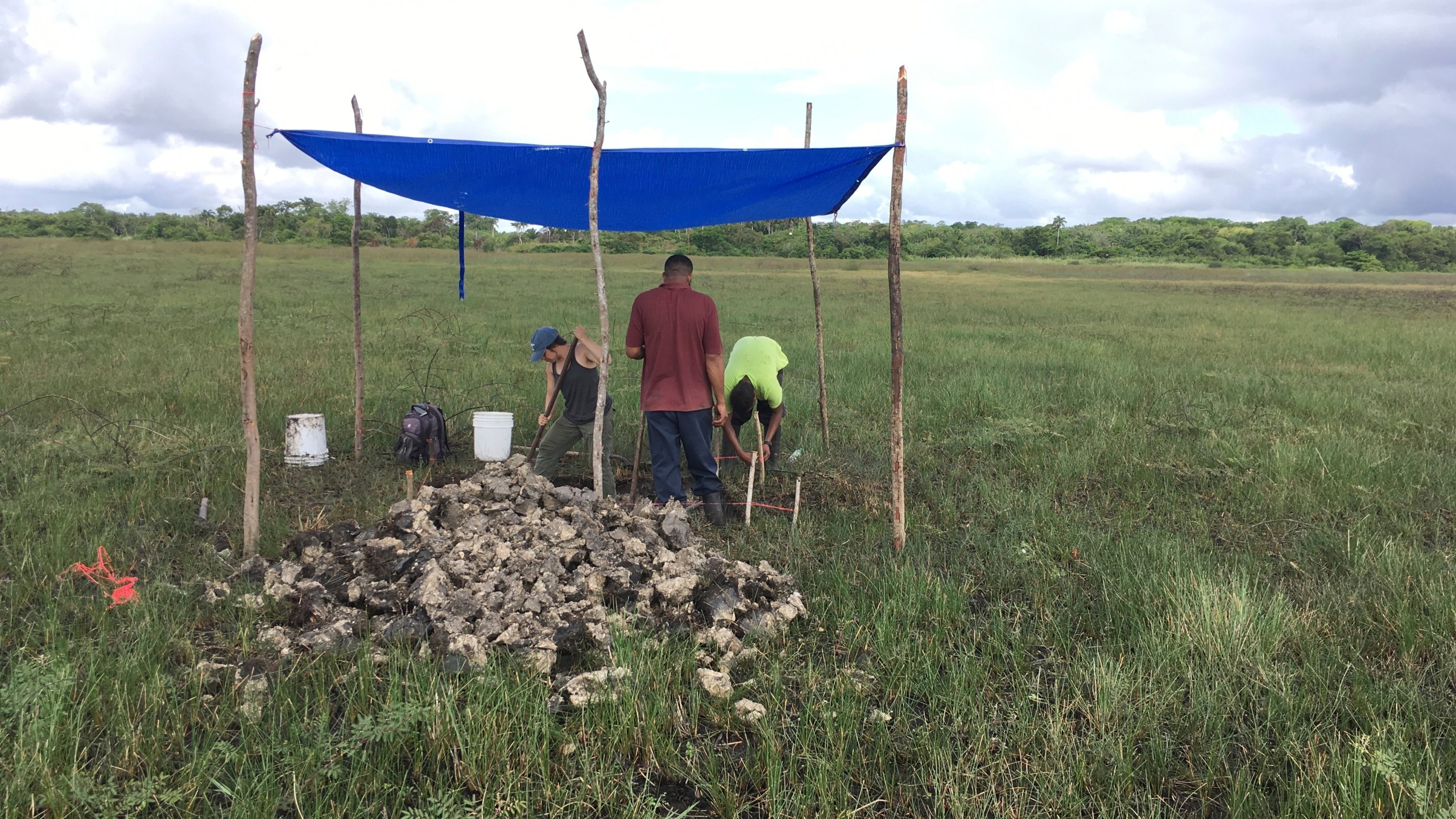 This 2019 photo provided by the Belize River East Archaeology project, researchers excavate sediment that will be sequenced to help them date the evidence of a large-scale pre-Columbian fish-trapping facility in Belize. (Belize River East Archaeology project via AP)