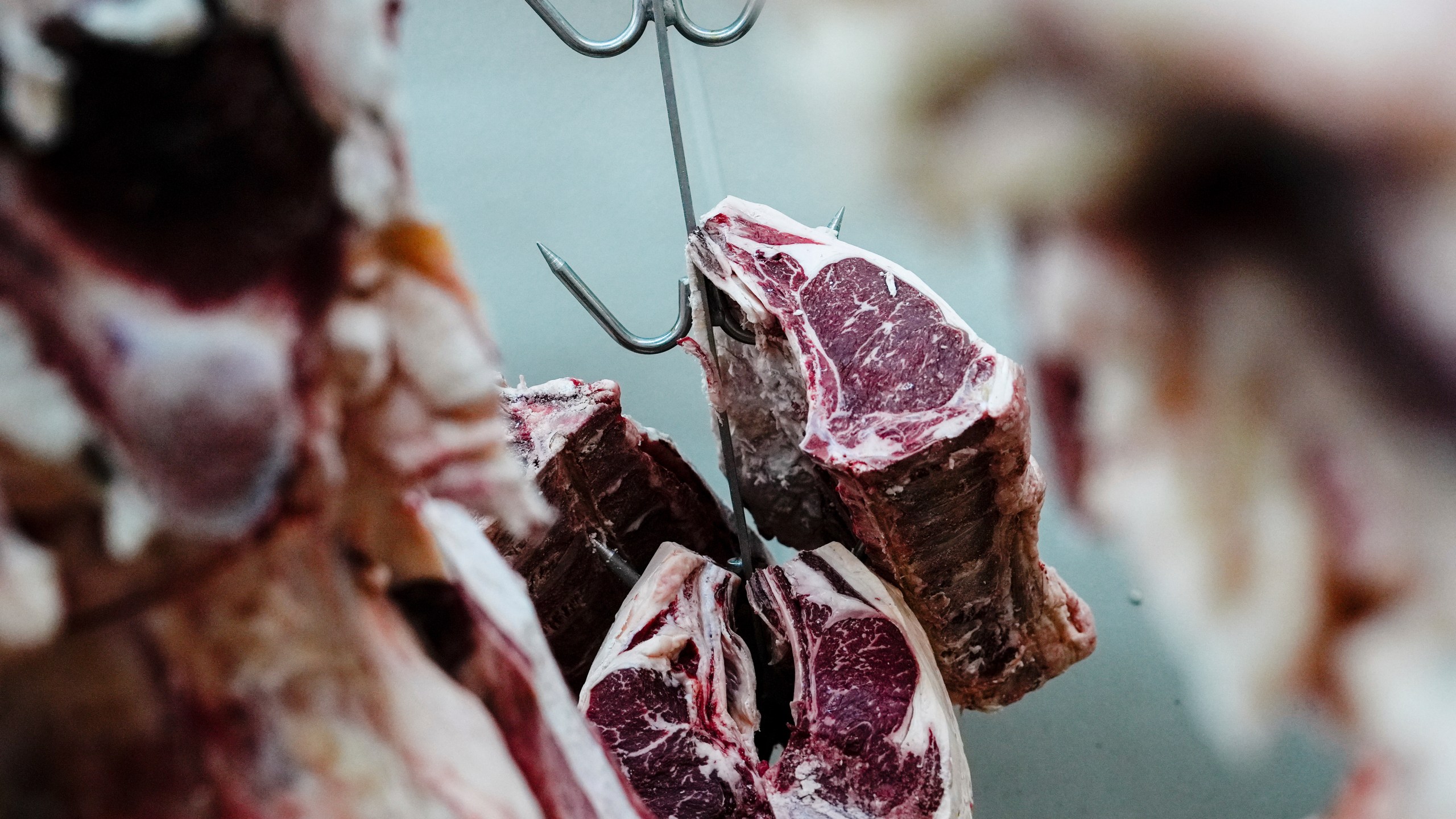 Beef hangs in the meat locker of J.T. Jobbagy Inc. in the Meatpacking District of Manhattan, Tuesday, Nov. 19, 2024, in New York. (AP Photo/Julia Demaree Nikhinson)