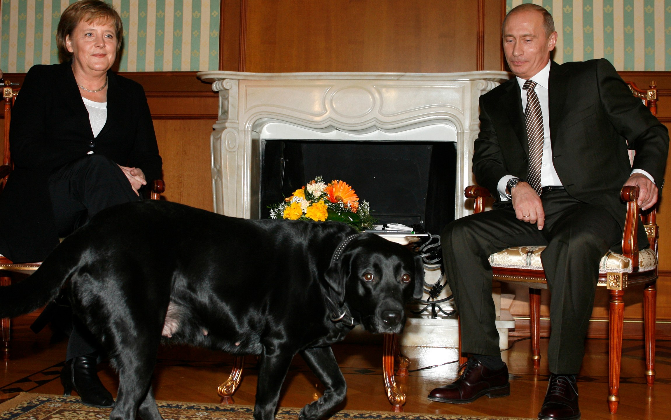 FILE - German Chancellor Angela Merkel and Russian President Vladimir Putin, look on as Putin's dog Cony walks past, during the meeting in Putin's residence in the Russian Black Sea resort of Sochi, Sunday, Jan. 21, 2007. (AP Photo/Mikhail Metzel, File)