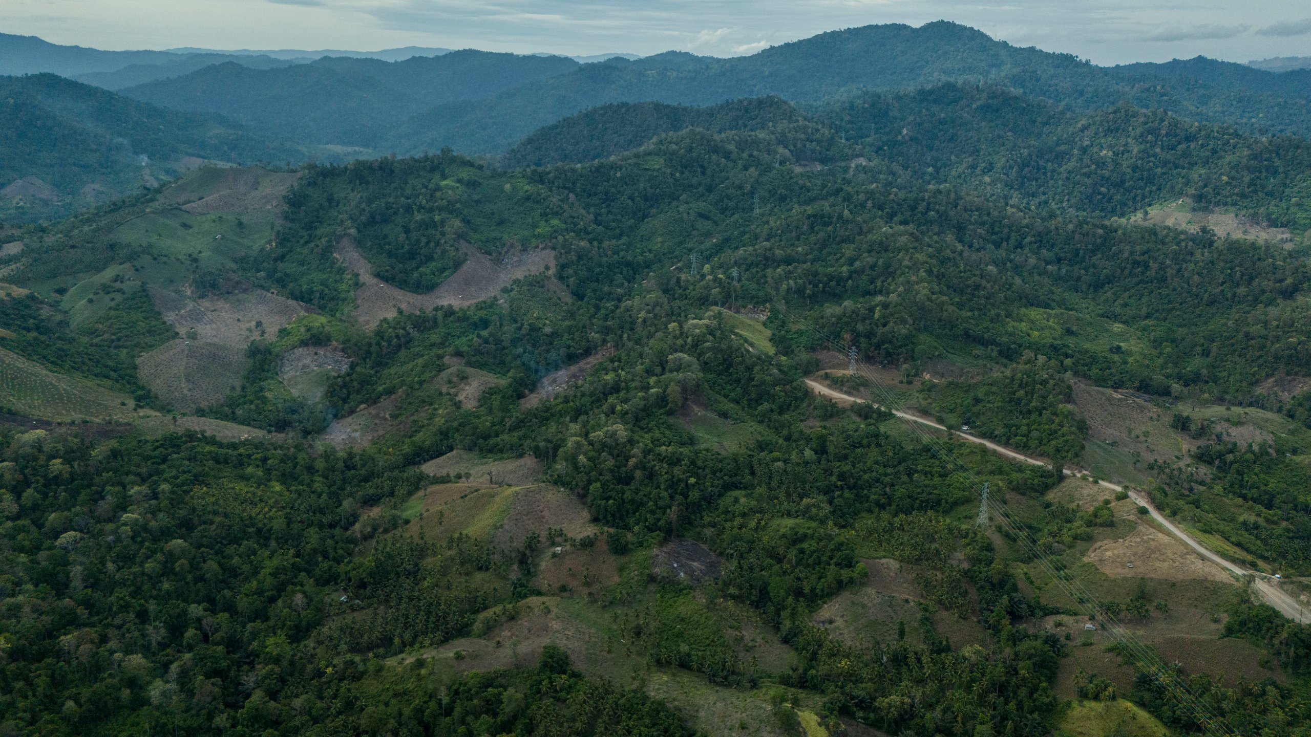 Deforestation is visible near the areas of several wood pellet production companies in Pohuwato, Gorontalo province, Indonesia, Tuesday, Oct. 22, 2024. (AP Photo/Yegar Sahaduta Mangiri)