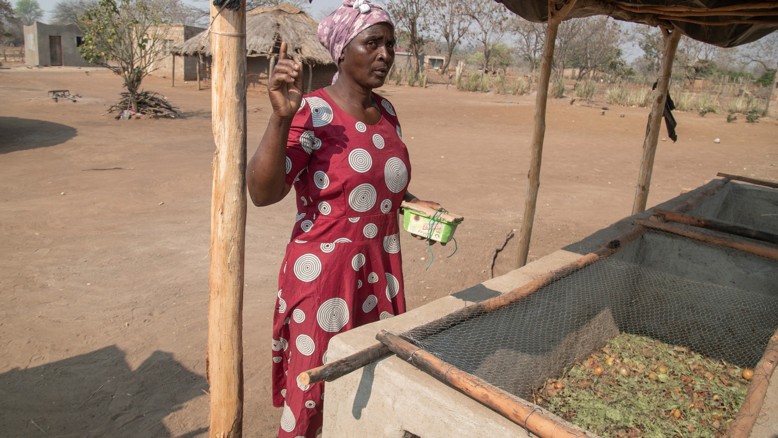 Maggot breeder, Chemari Choumumba stands next to a production tank of maggots at her home in Chiredzi, Zimbabwe Wednesday, Sept. 18, 2024. (AP Photo/Aaron Ufumeli)