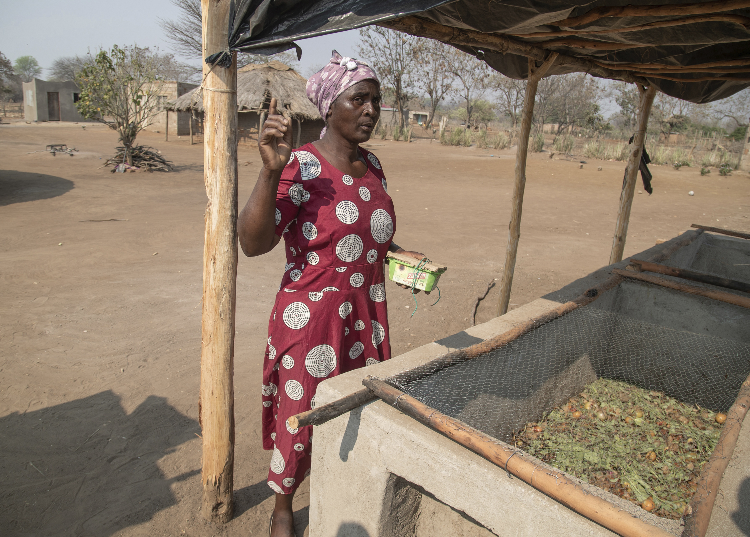 Maggot breeder, Chemari Choumumba stands next to a production tank of maggots at her home in Chiredzi, Zimbabwe Wednesday, Sept. 18, 2024. (AP Photo/Aaron Ufumeli)