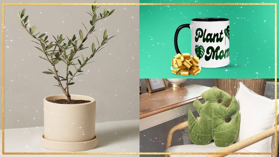 BestReviews illustrations / The ultimate plant parent gift guide