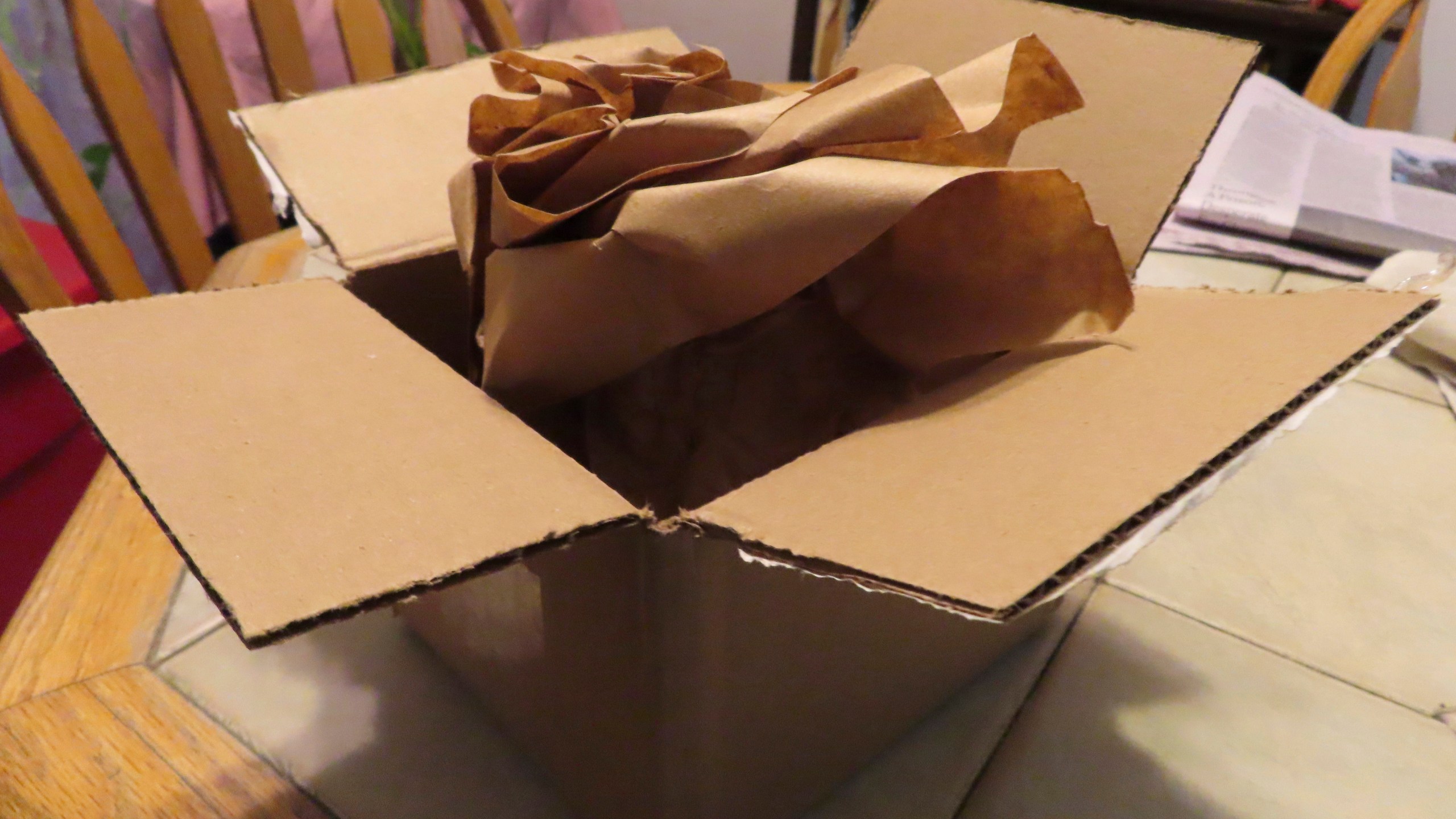 Paper packaging materials sit inside a just-opened box in Point Pleasant, N.J. on Tuesday, Dec. 10, 2024. (AP Photo/Wayne Parry)