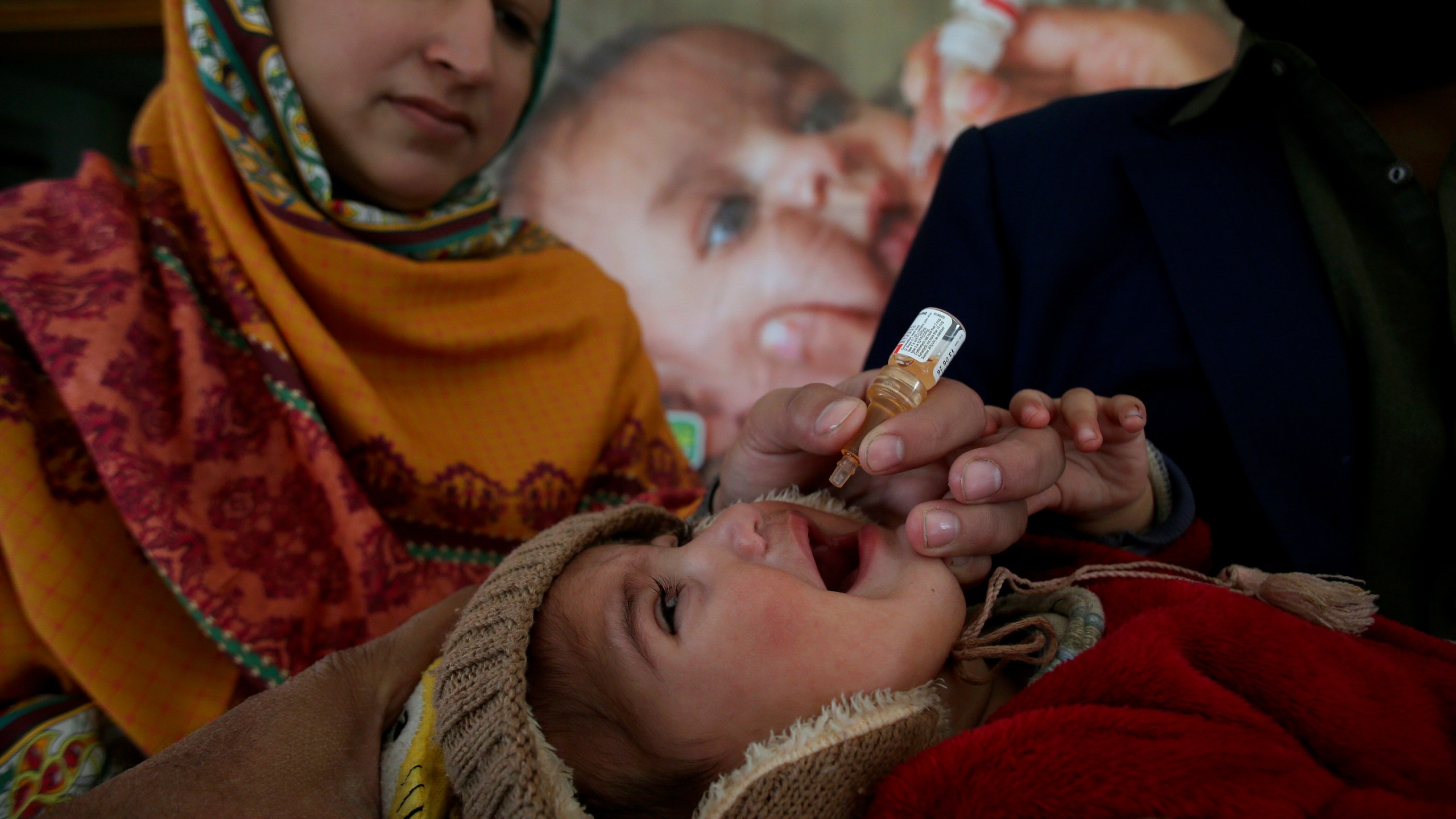 A health worker administers a polio vaccine to a child at a health center in Peshawar, Pakistan, Monday, Dec. 16, 2024. (AP Photo/Muhammad Sajjad)