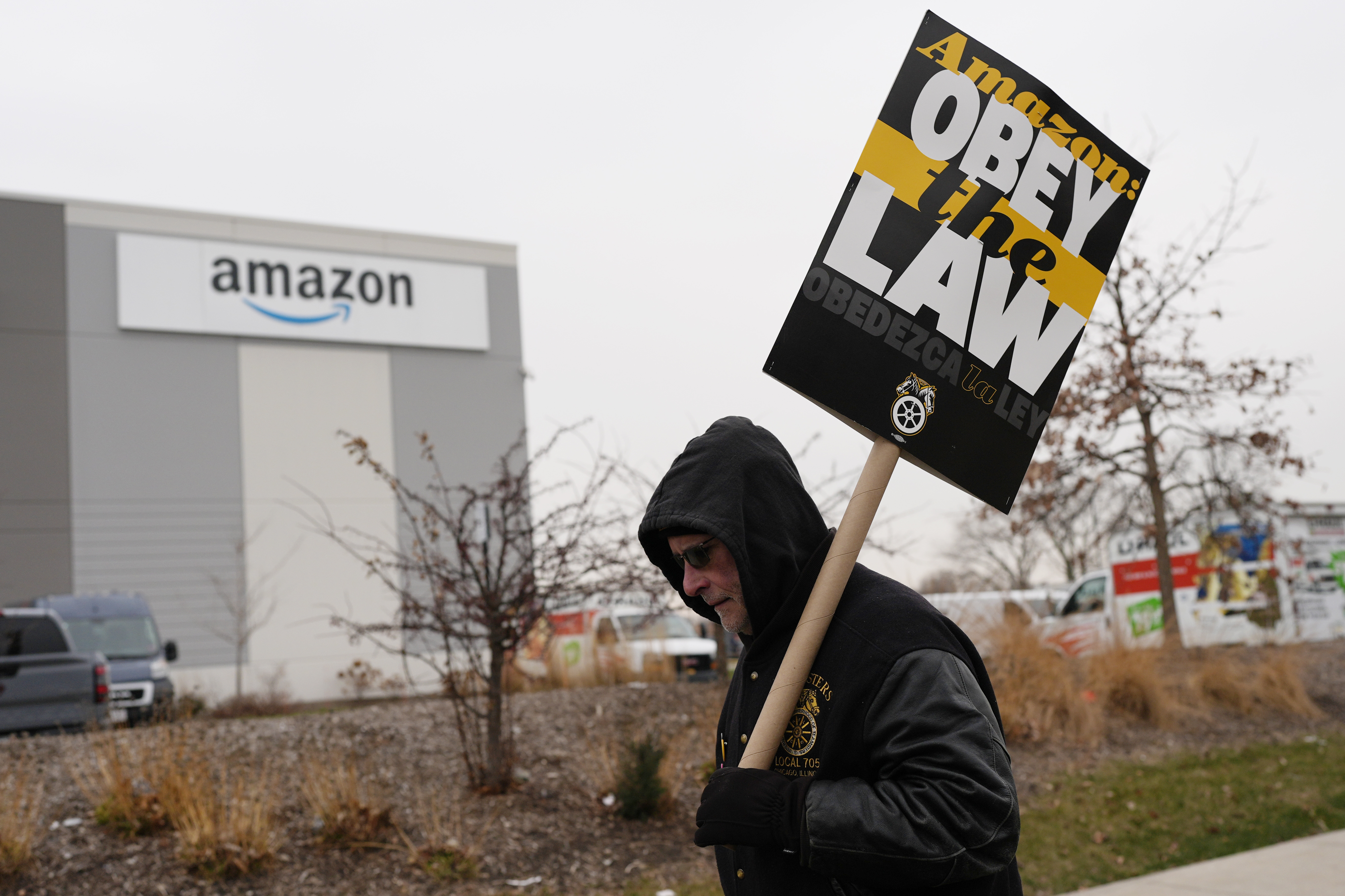 A striker holds a sign during a strike at Skokie (DIL7) Amazon Delivery station in Skokie, Ill., Thursday, Dec. 19, 2024. (AP Photo/Nam Y. Huh)