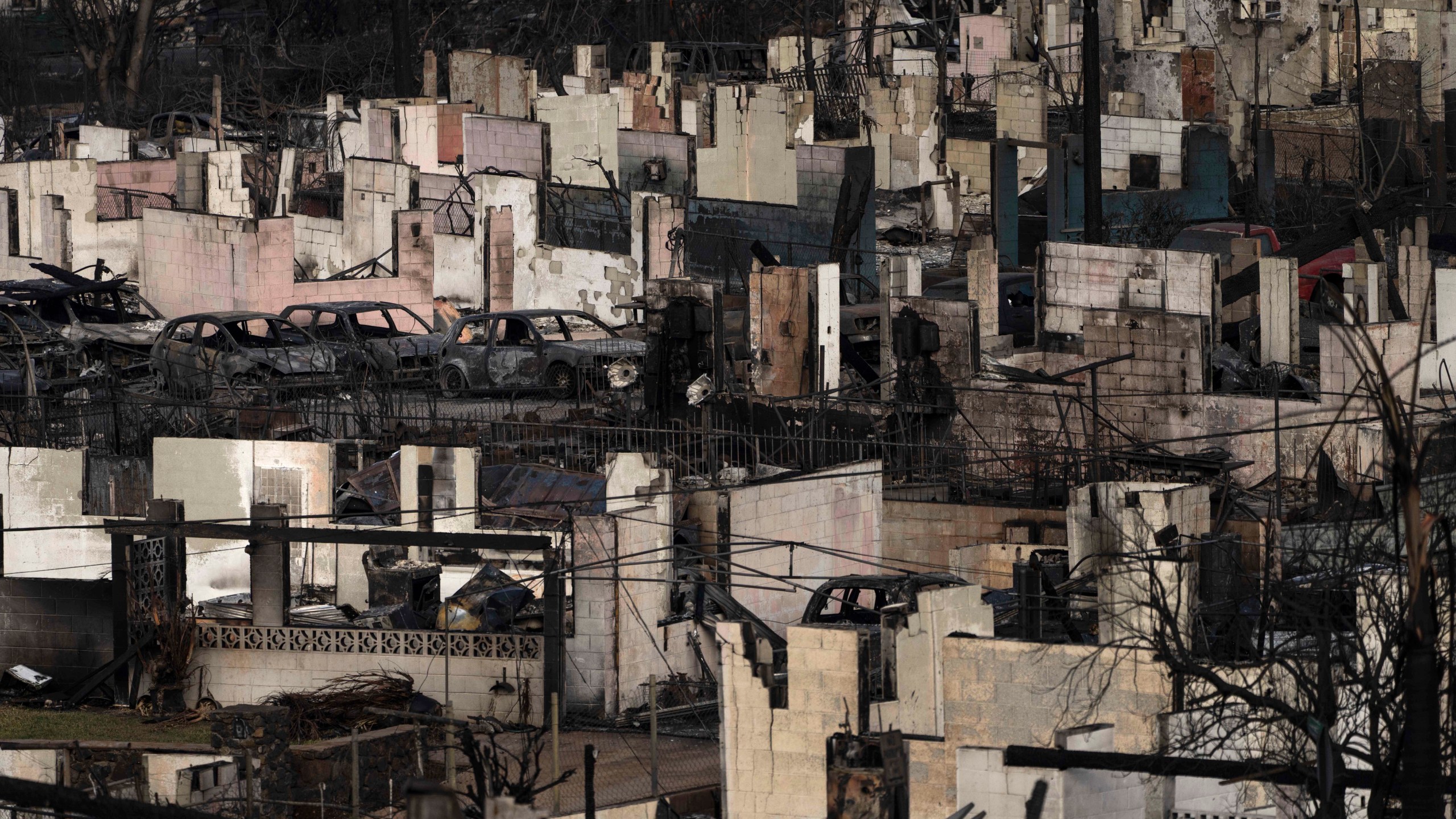 FILE - Homes consumed in wildfires are seen in Lahaina, Maui, Hawaii, Aug. 16, 2023. (AP Photo/Jae C. Hong, File)