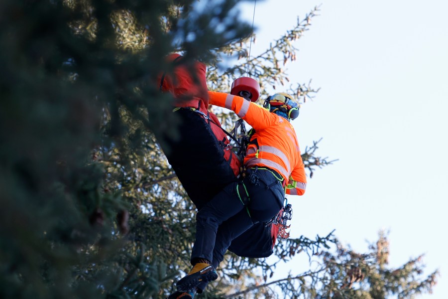 Medical staff are lifting France's Cyprien Sarrazin to an helicopter after crashing into protections net during an alpine ski, men's World Cup downhill training, in Bormio, Italy, Friday, Dec. 27, 2024. (AP Photo/Alessandro Trovati)