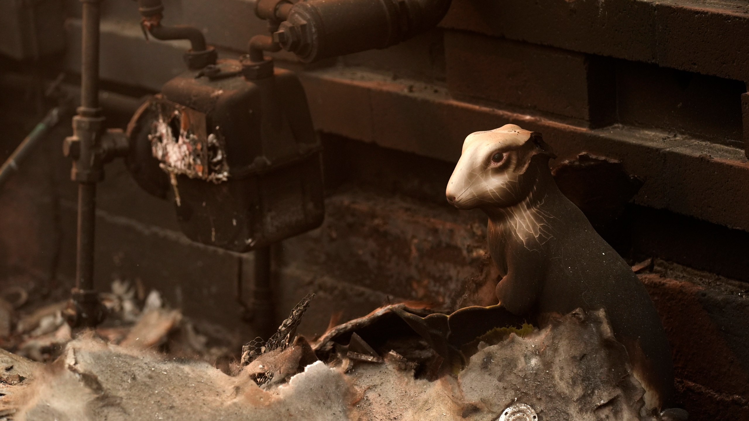 A charred bunny sculpture sits amidst debris at the destroyed Bunny Museum, Thursday, Jan. 9, 2025, in the Altadena section of Pasadena, Calif. (AP Photo/Chris Pizzello)