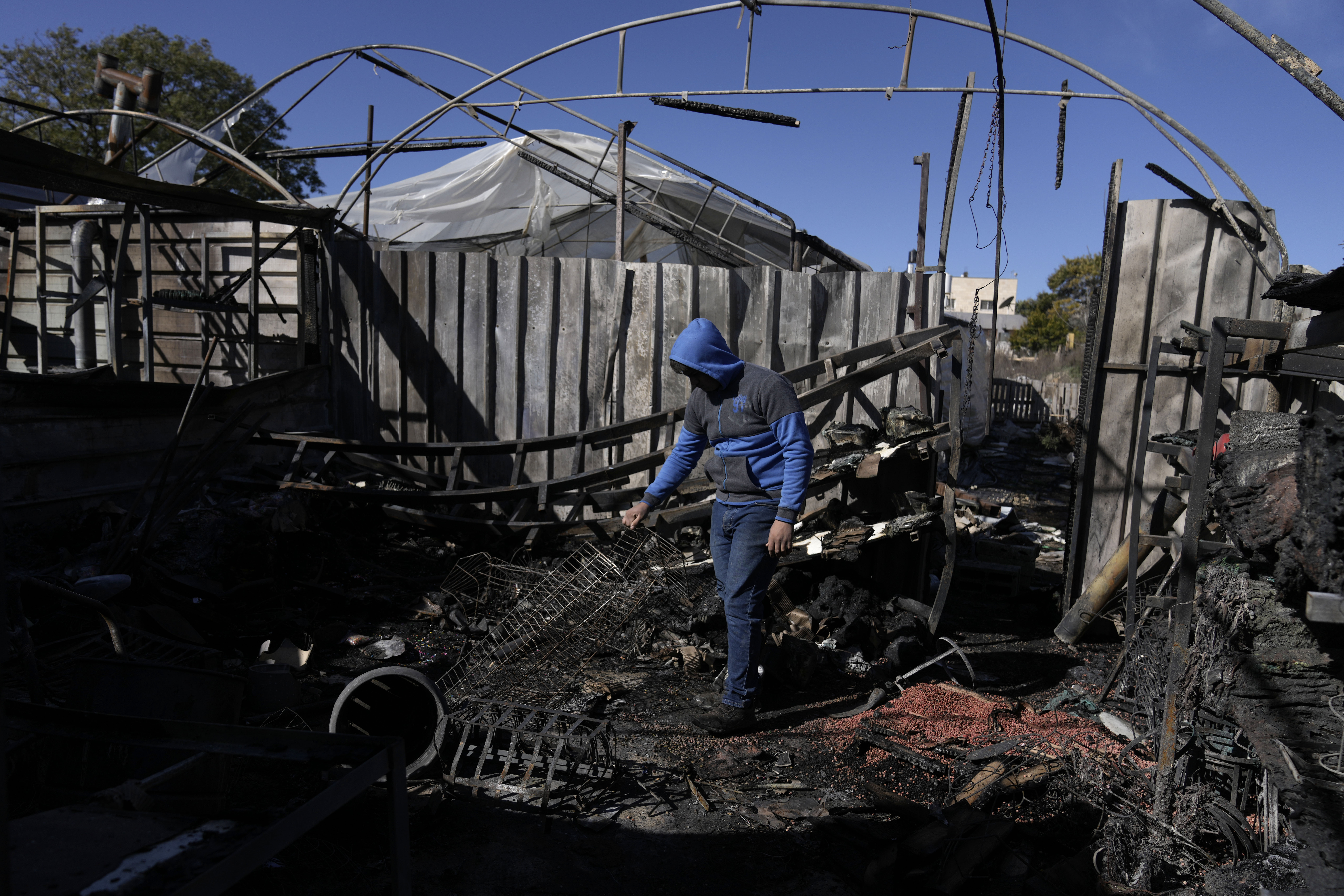 ADDS THE WORD SUSPECTED - A Palestinian youth sifts through the aftermath of an attack by suspected Israeli settlers in the West Bank village of Jinsafut, Tuesday, Jan. 21, 2025. (AP Photo/Majdi Mohammed)