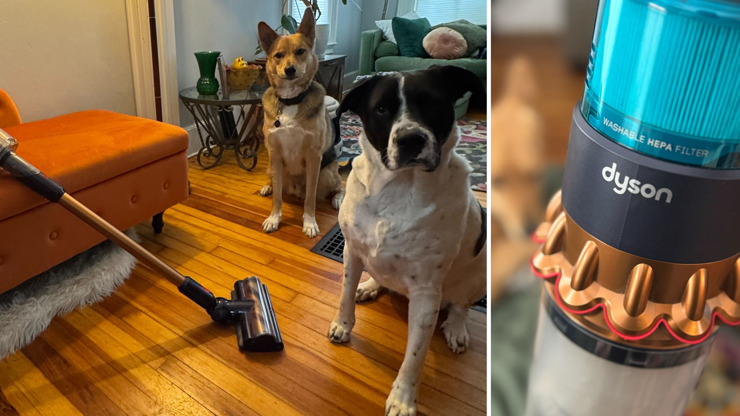 Maria Guido/ BestReviews / Finally, a cordless vacuum that really works on pet hair