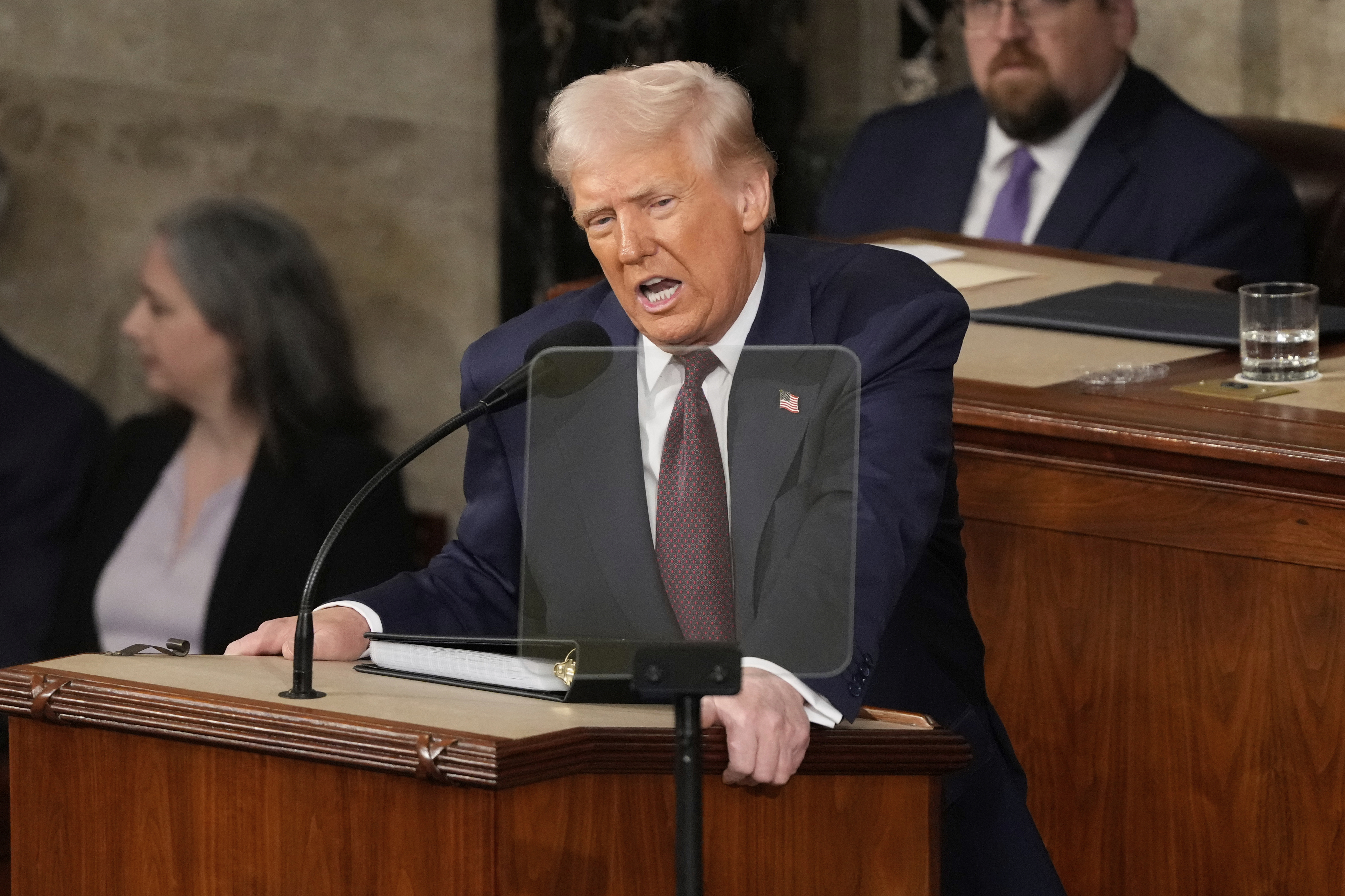 President Donald Trump addresses a joint session of Congress at the Capitol in Washington, Tuesday, March 4, 2025. (AP Photo/Ben Curtis)